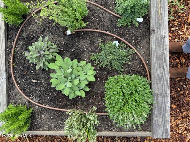 100493781 | Photo 41