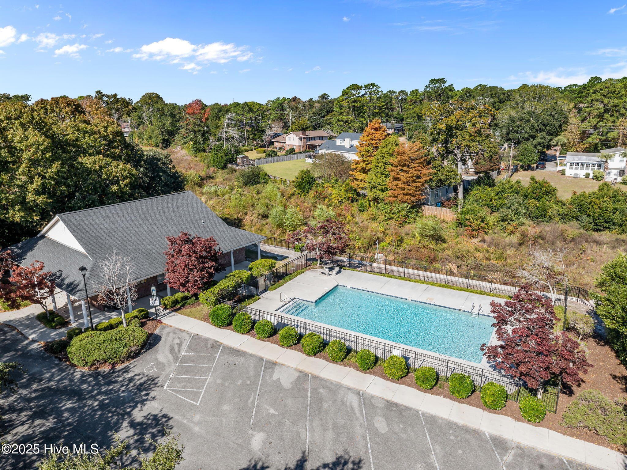 100540244 | Photo 52