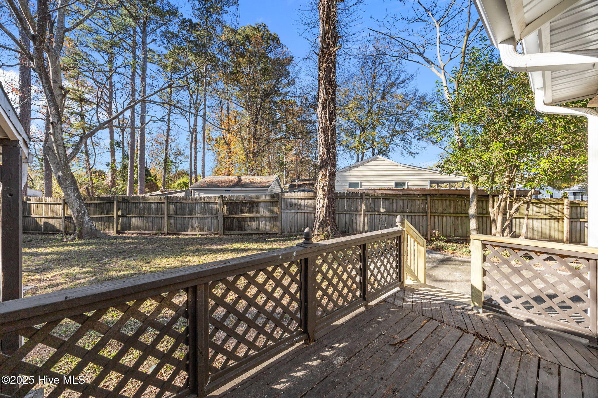 100543072 | Photo 44