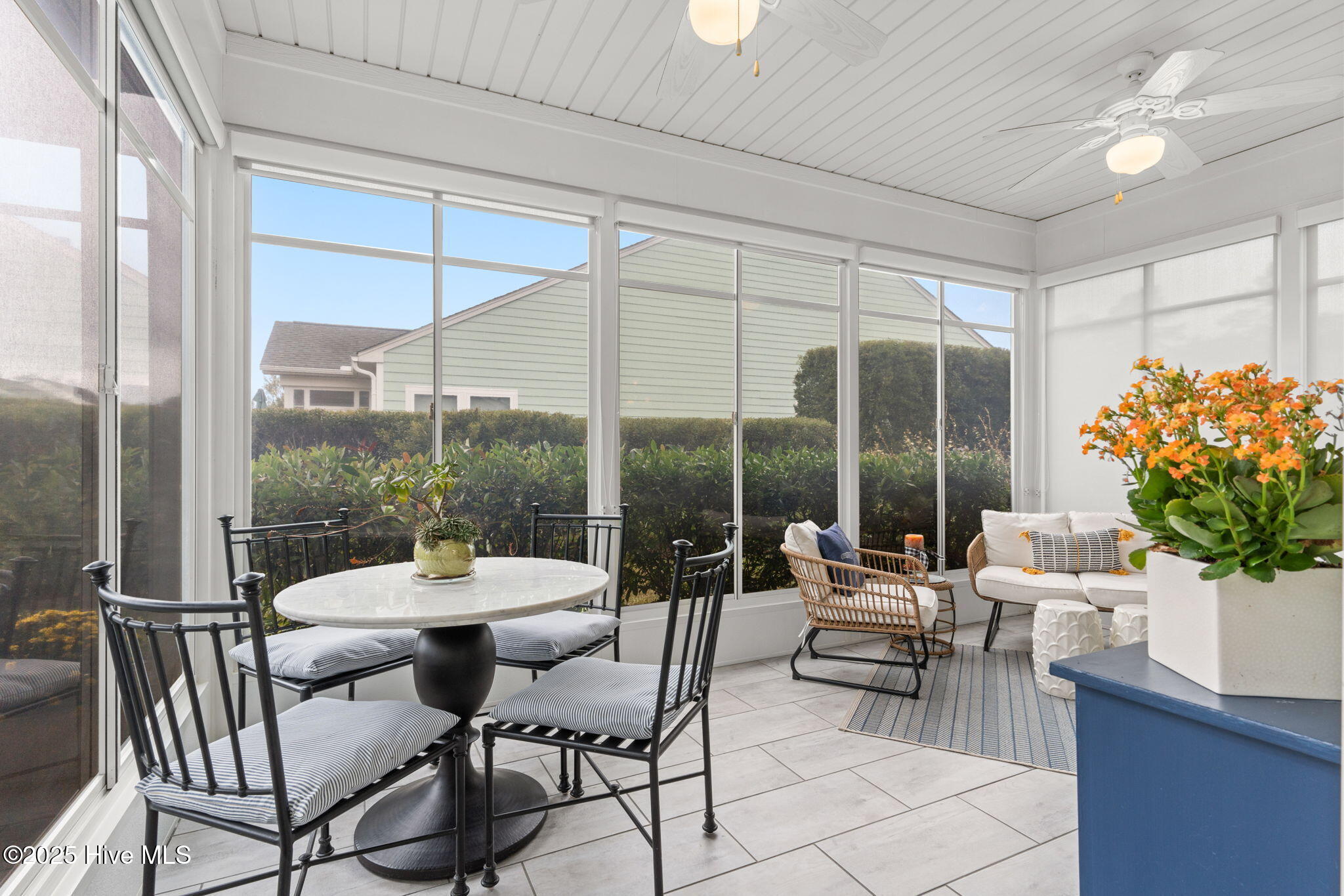 100558980 | Photo 40