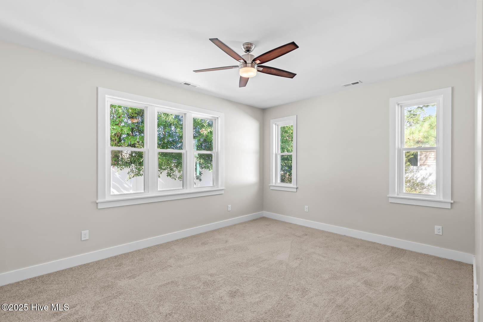 100535399 | Photo 23