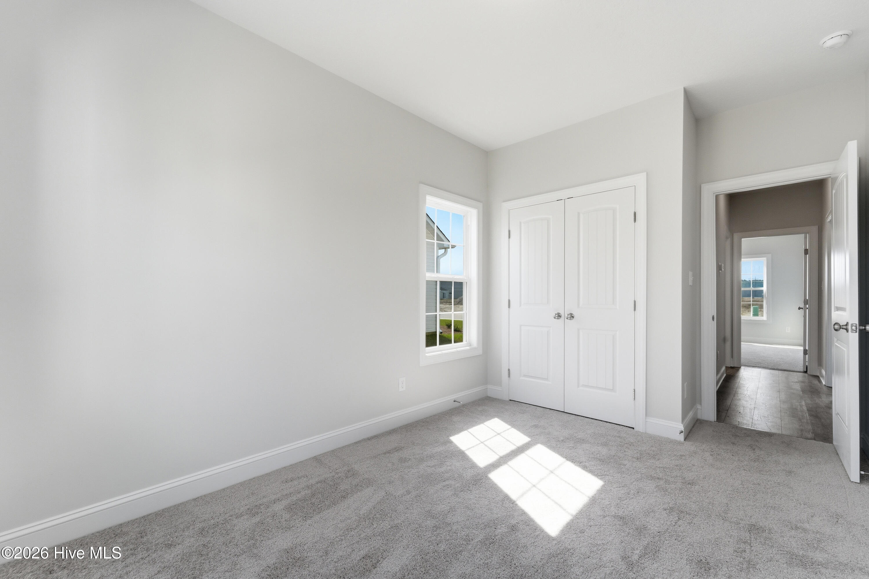 100521847 | Photo 19