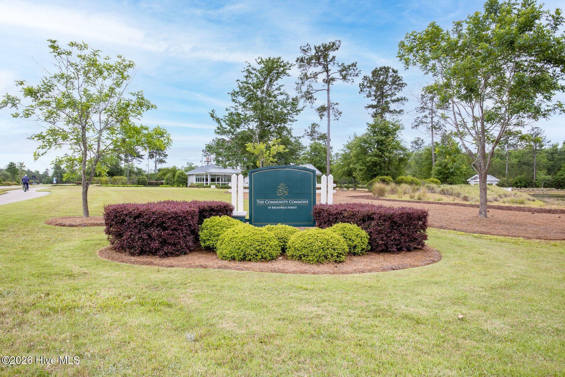 100558018 | Photo 38