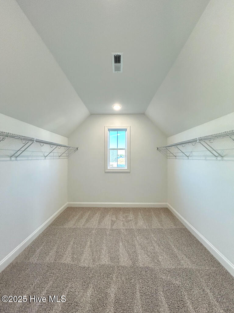 100510089 | Photo 73