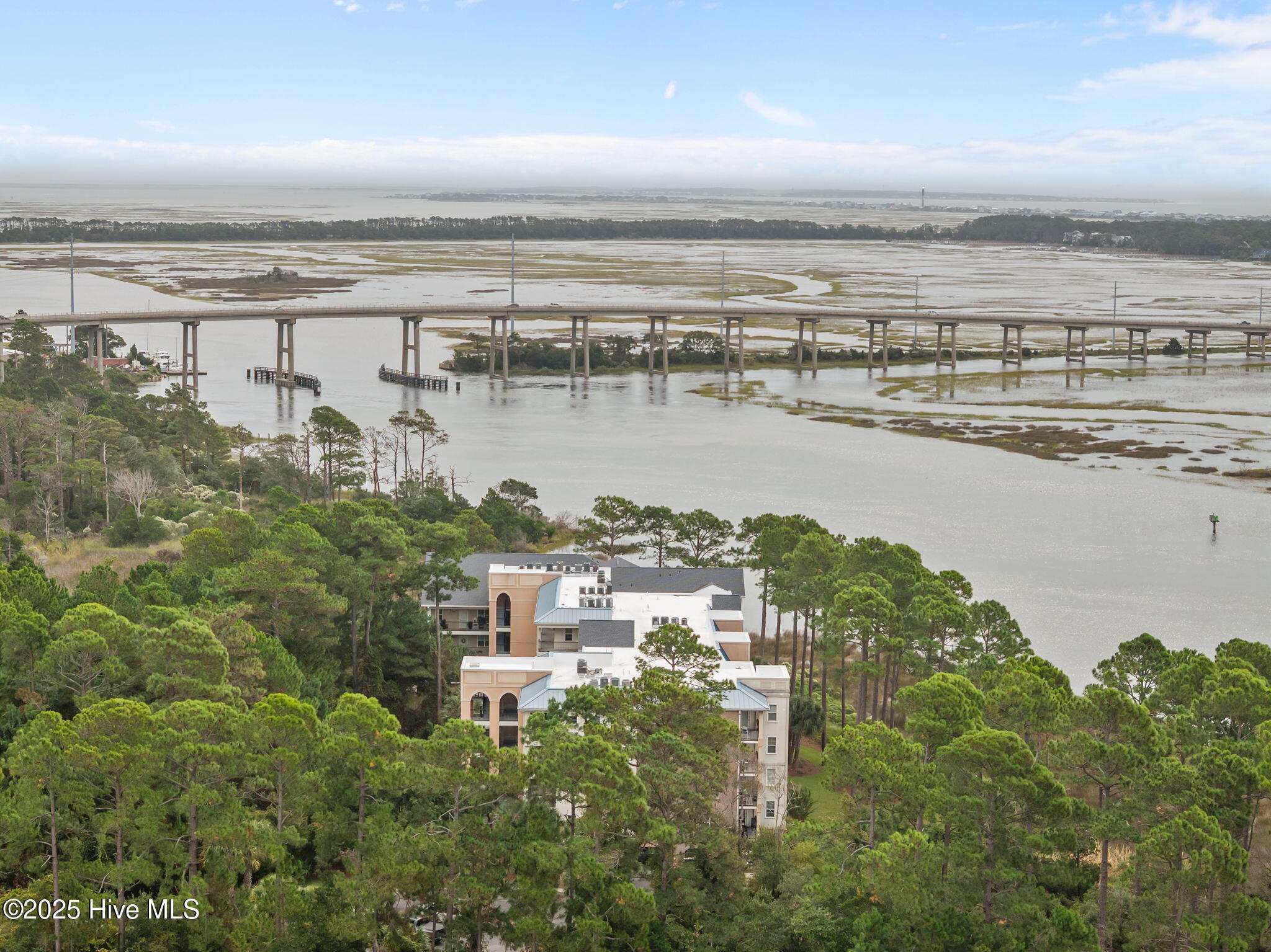 100535787 | Photo 53