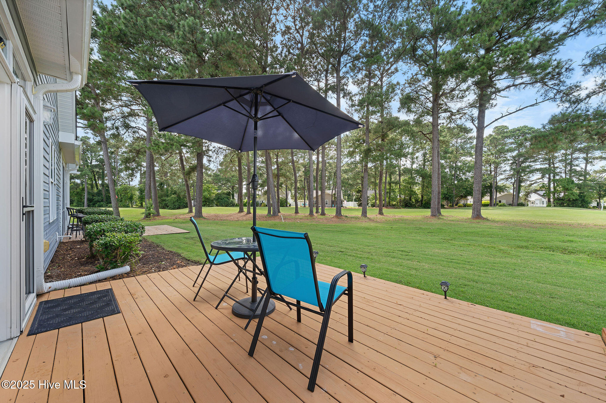 100513601 | Photo 36