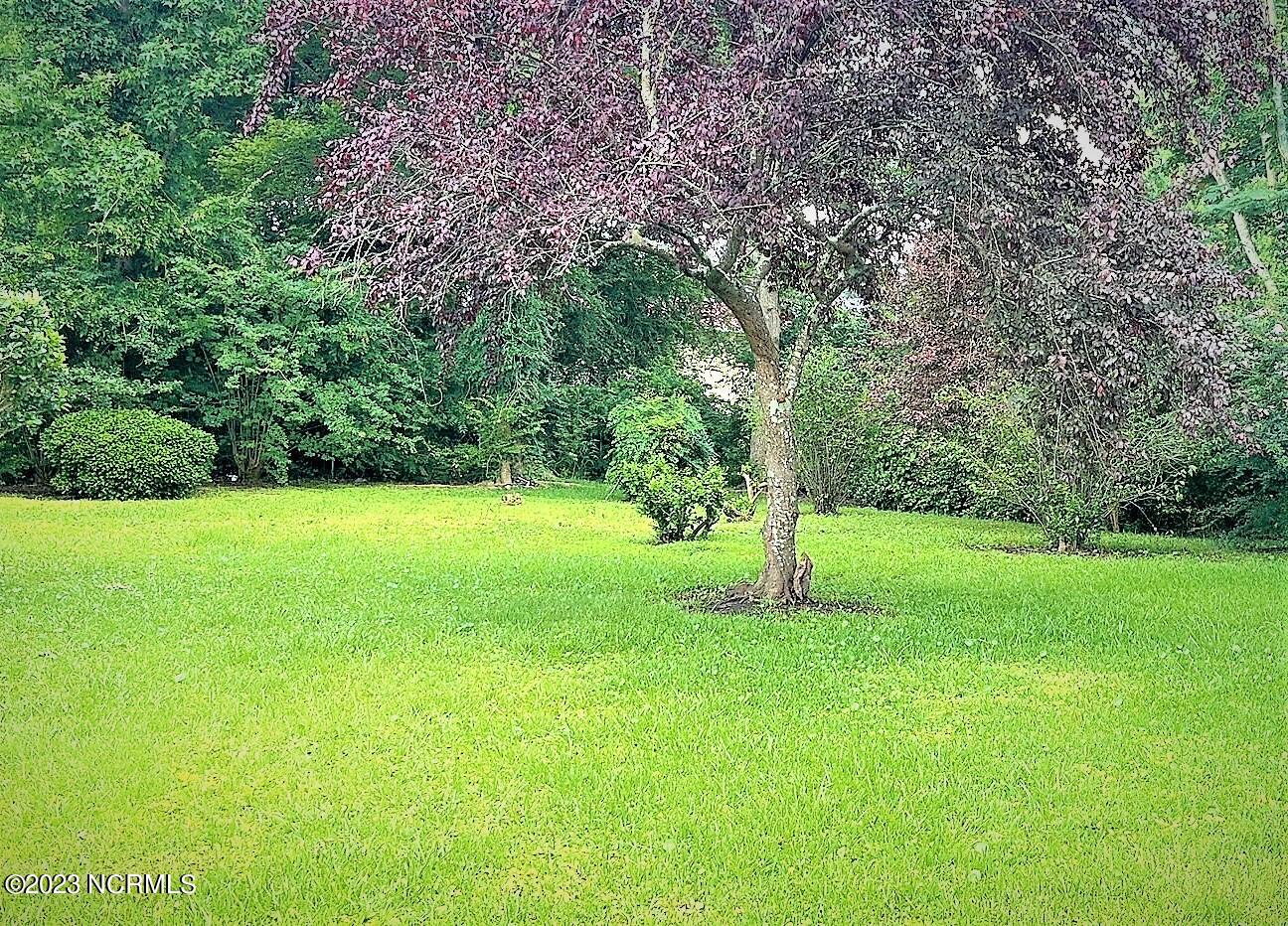 100584617 | Photo 24