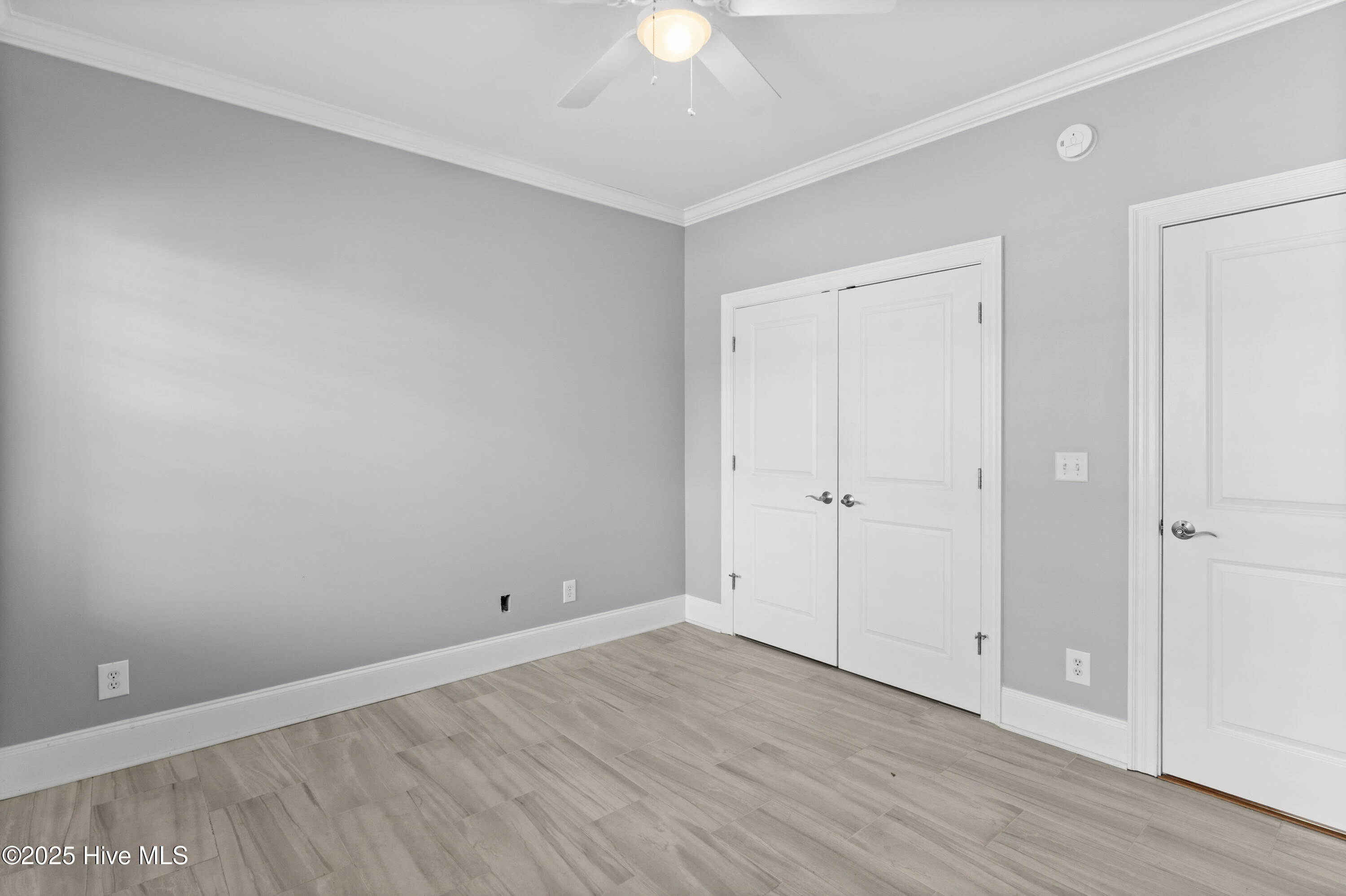 100538387 | Photo 13