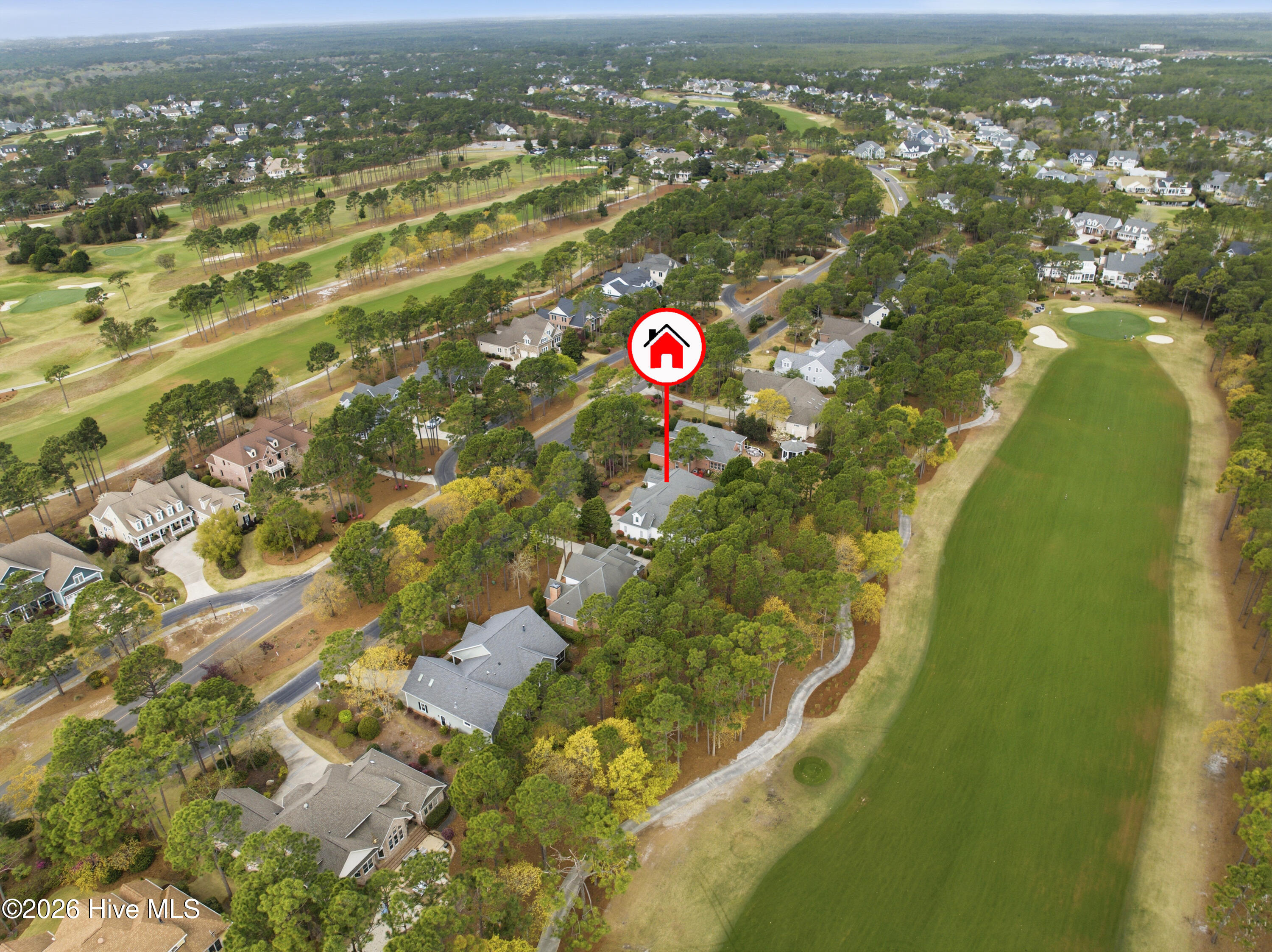 100564679 | Photo 64