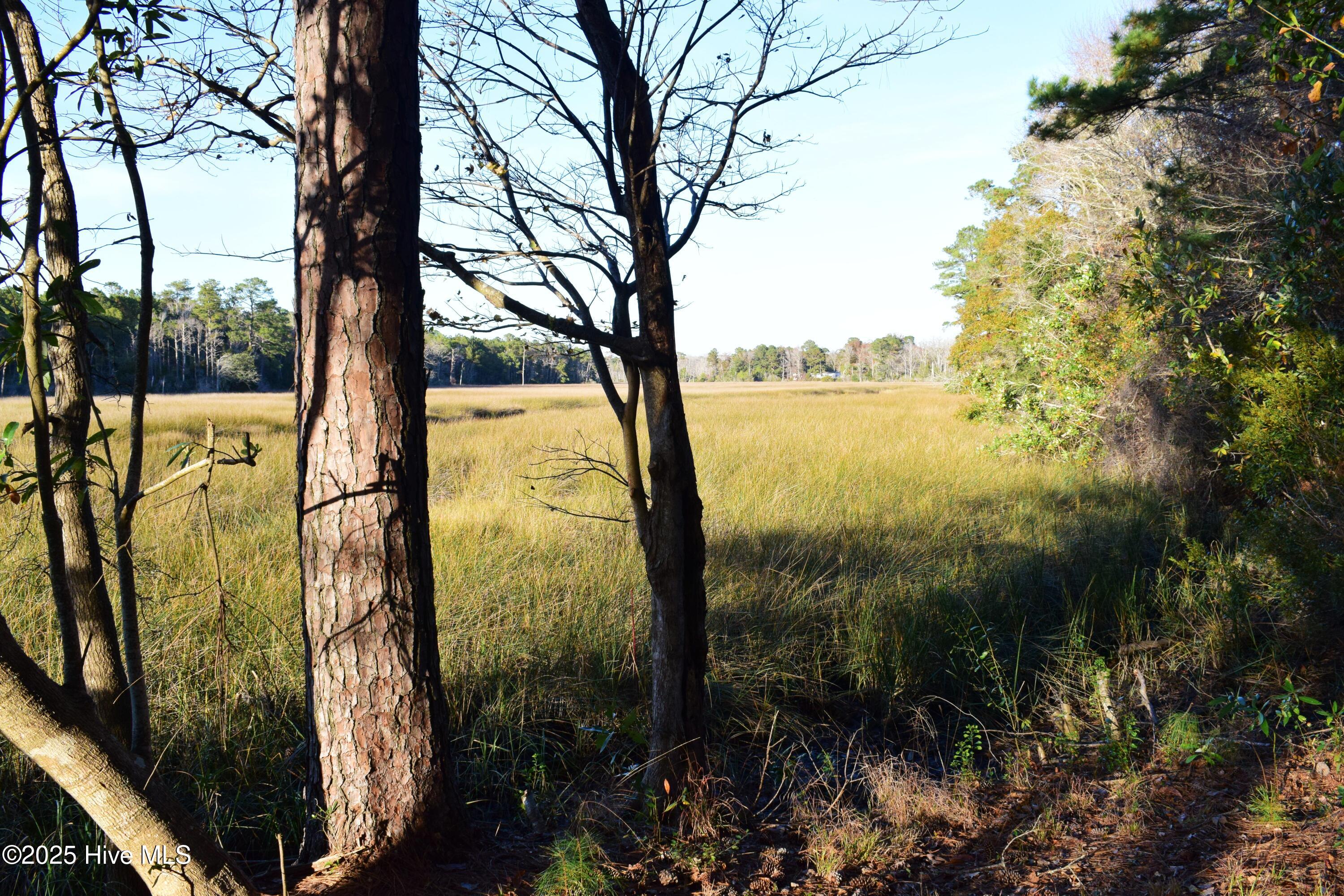 100543289 | Photo 50