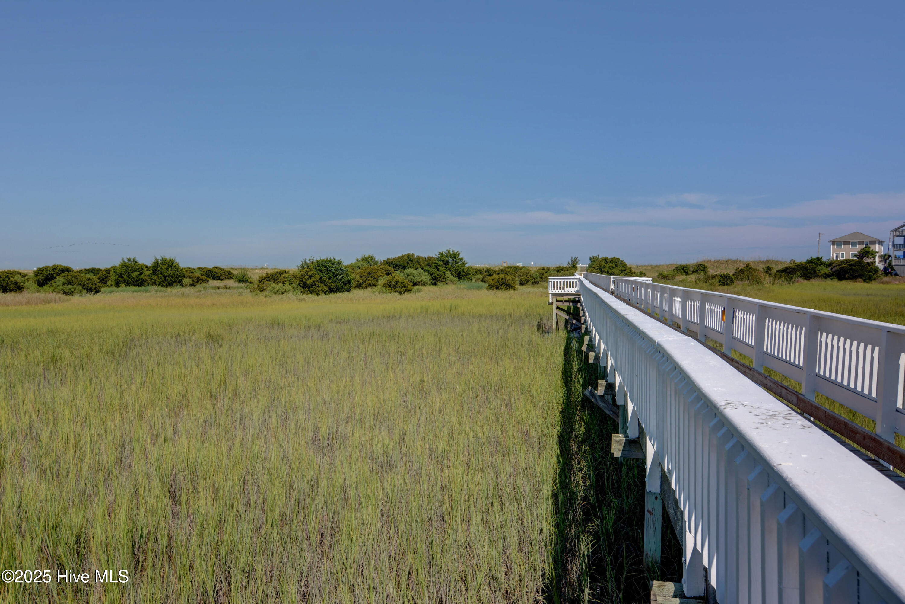 100516907 | Photo 35