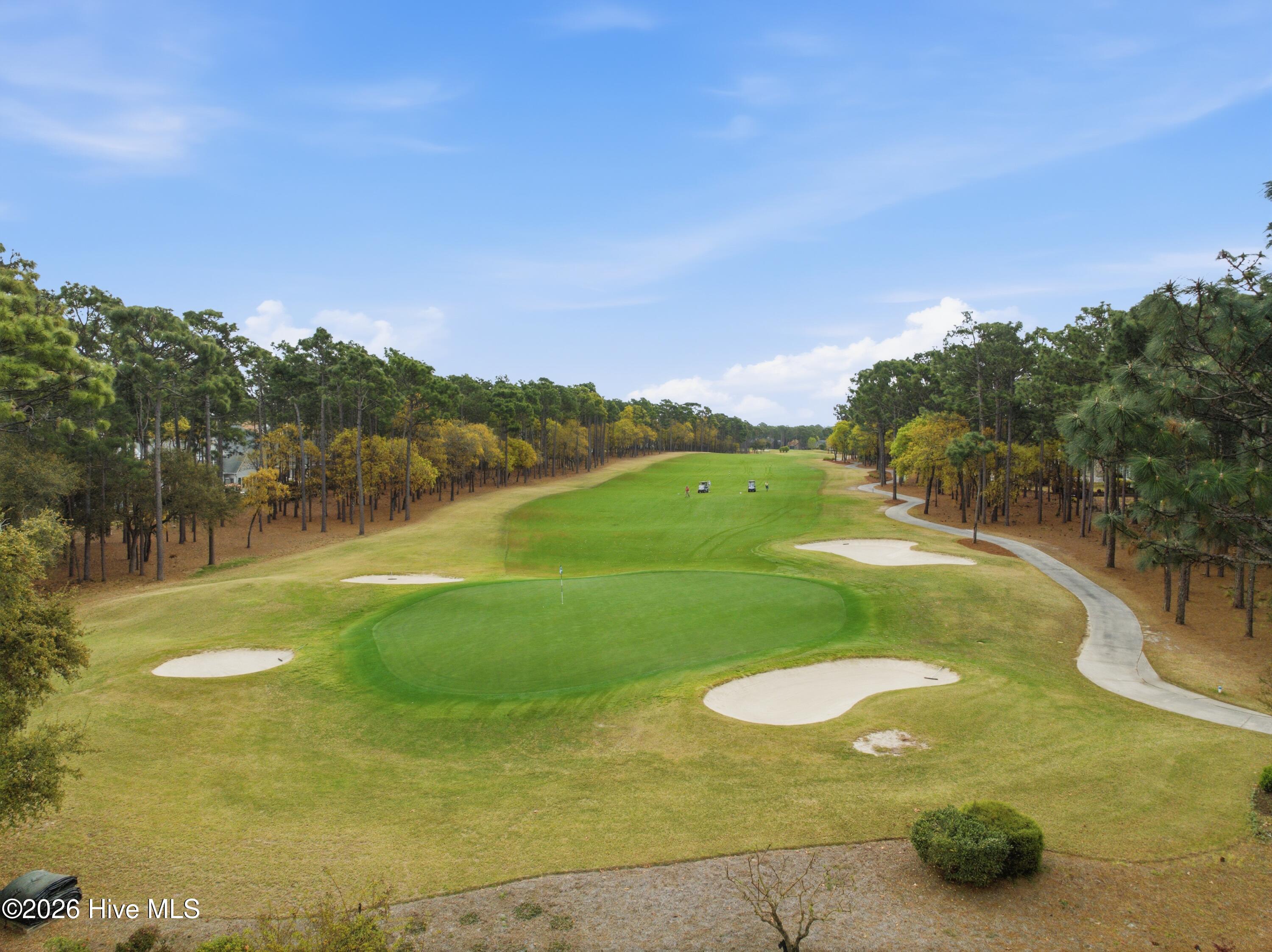 100564679 | Photo 79