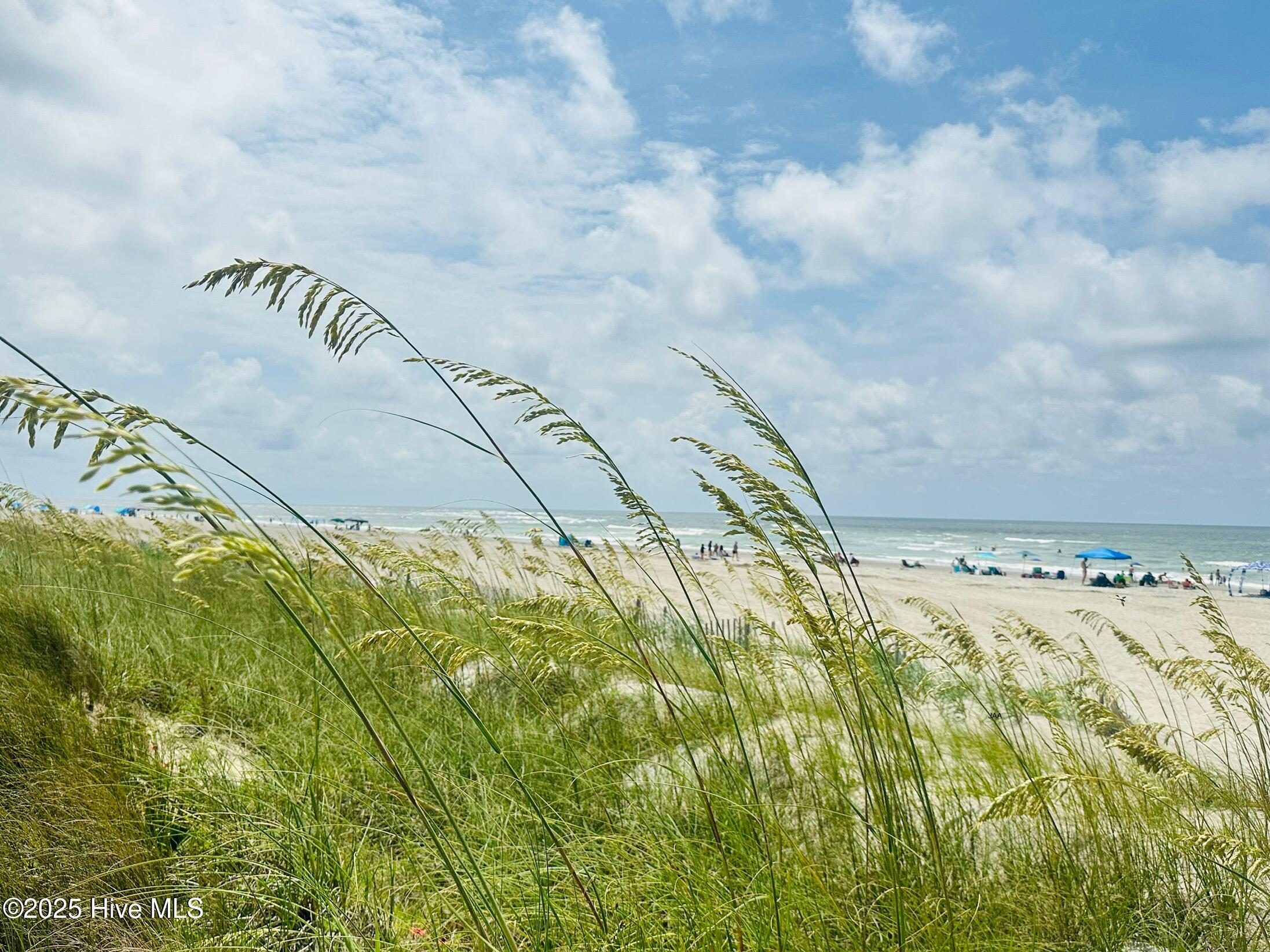 100540428 | Photo 10