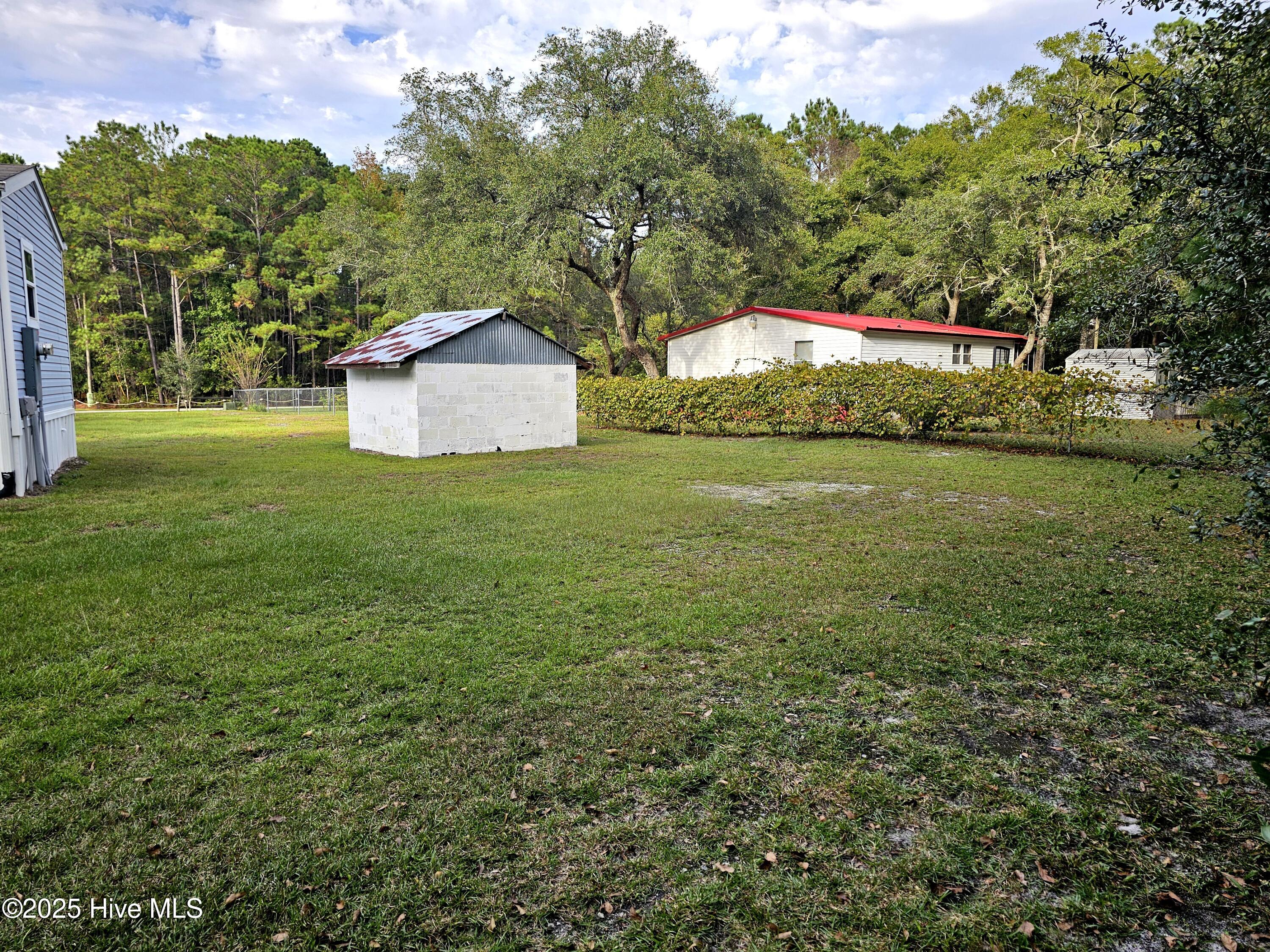 100535573 | Photo 10