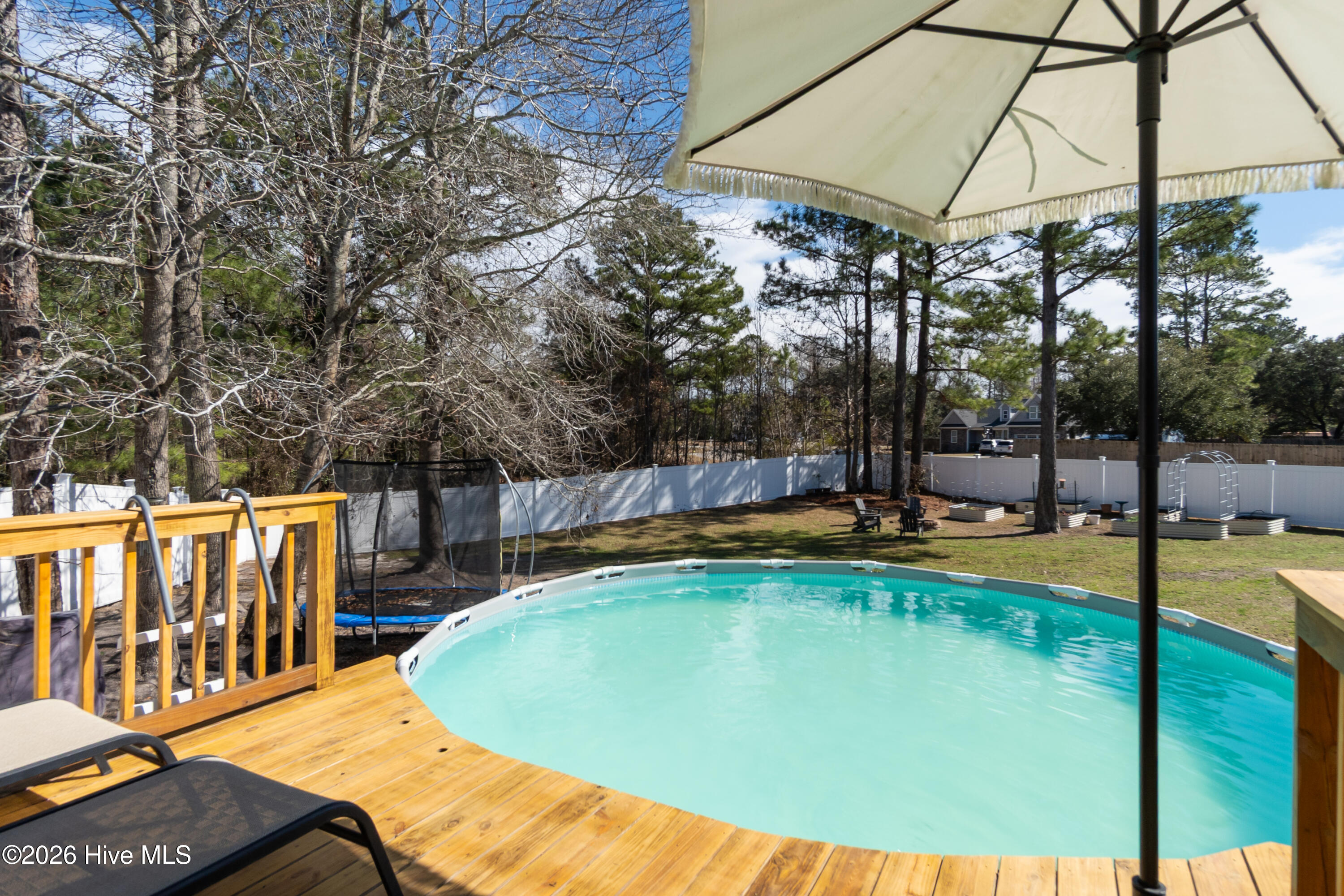 100558497 | Photo 46