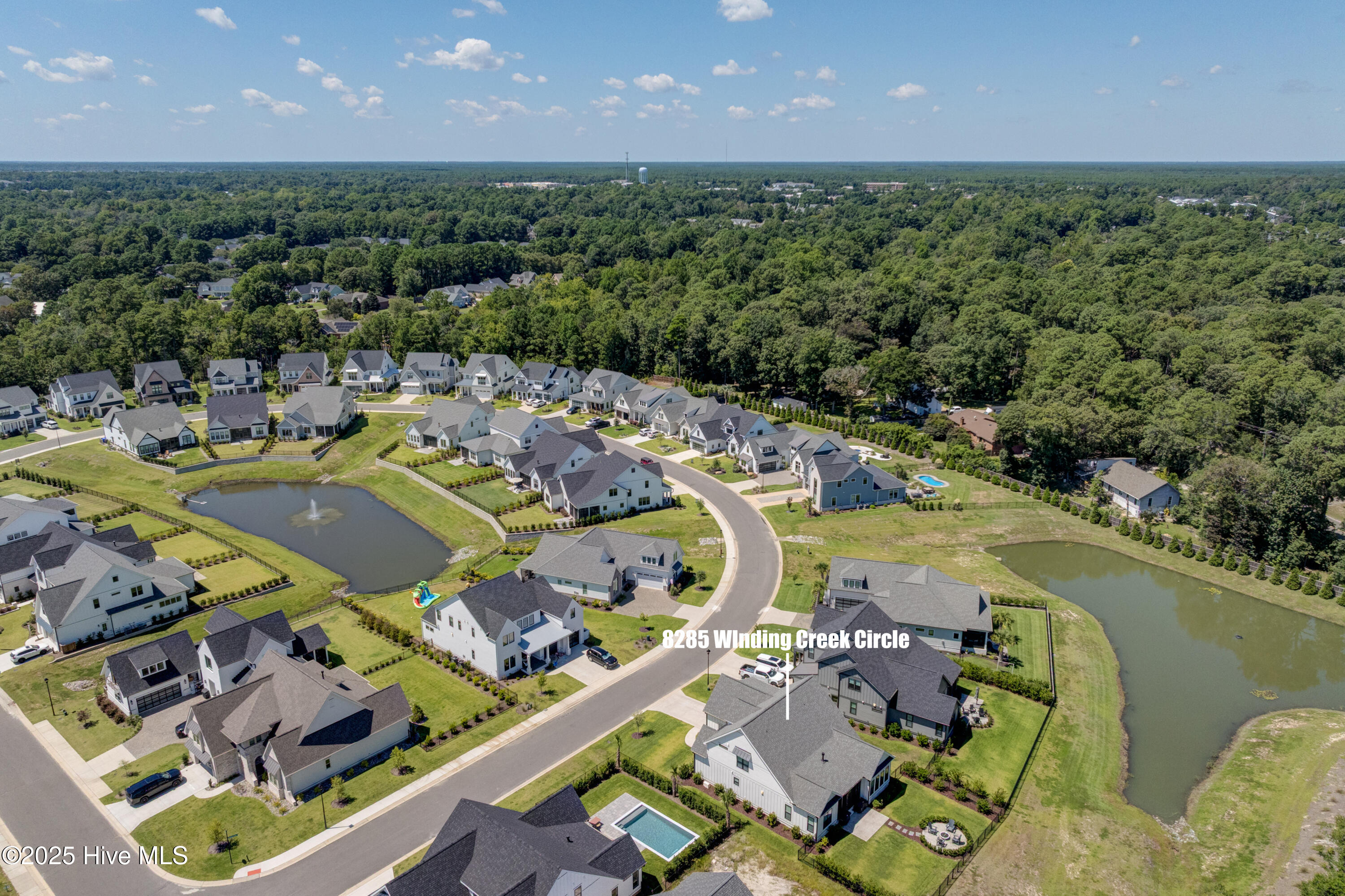 100531036 | Photo 44