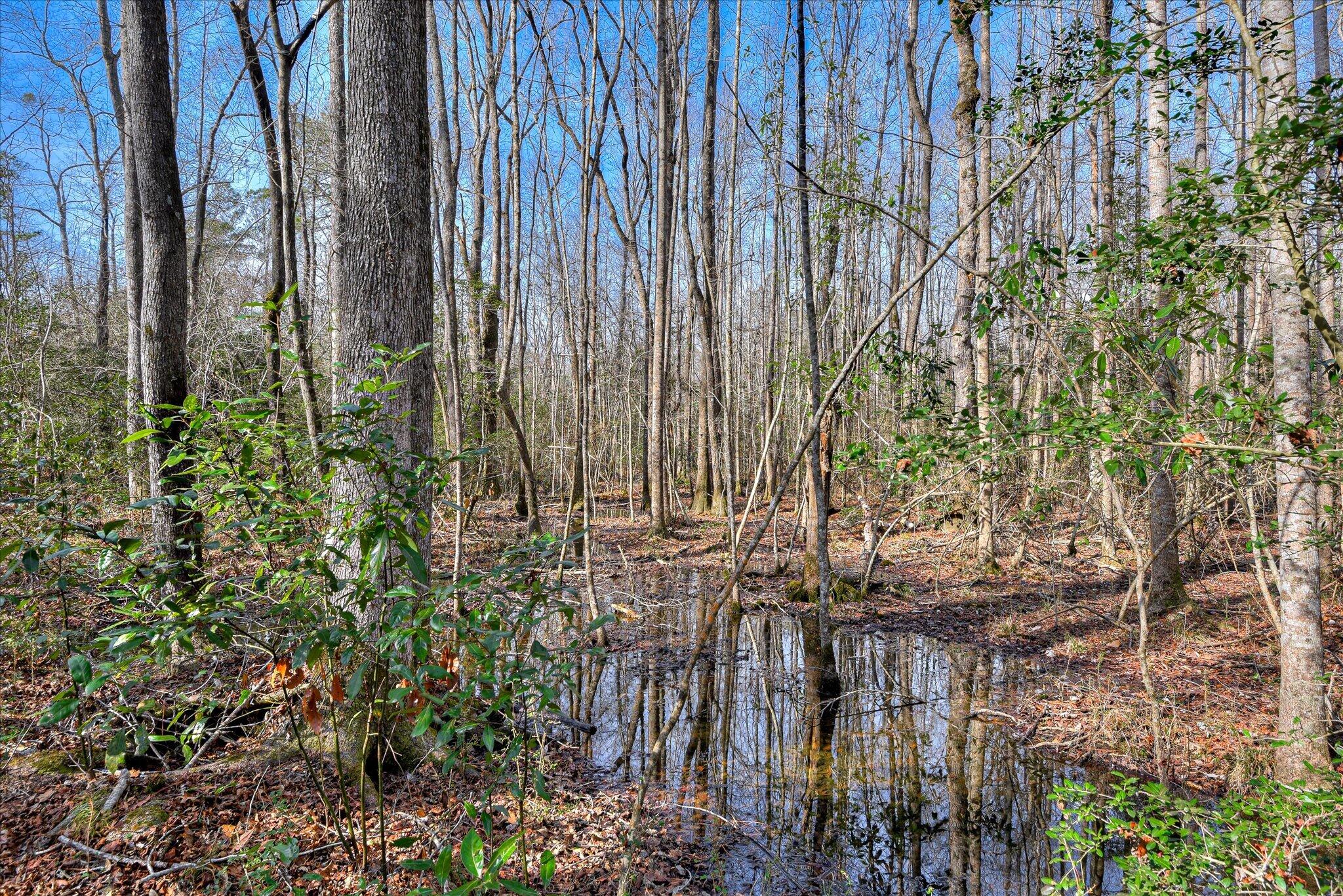 Tract 2 Day Road, Aiken, SC, 29801