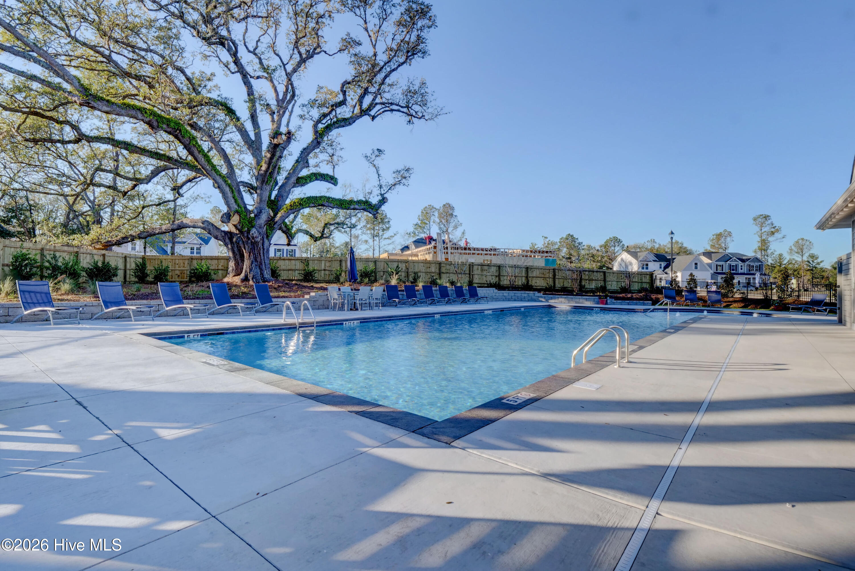 100567607 | Photo 66