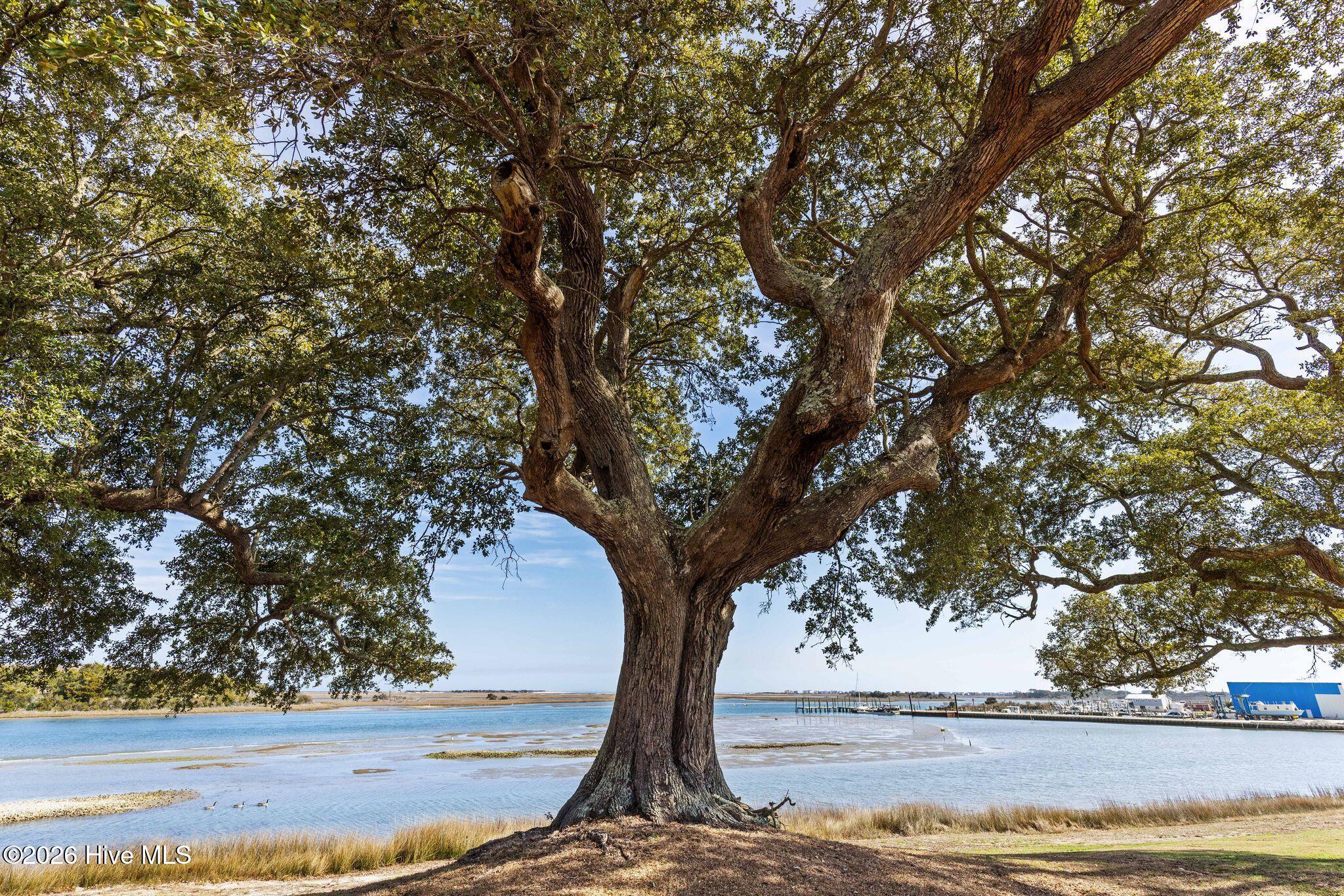 1.75ac Flamingo Lane, Sneads Ferry, NC, 28460