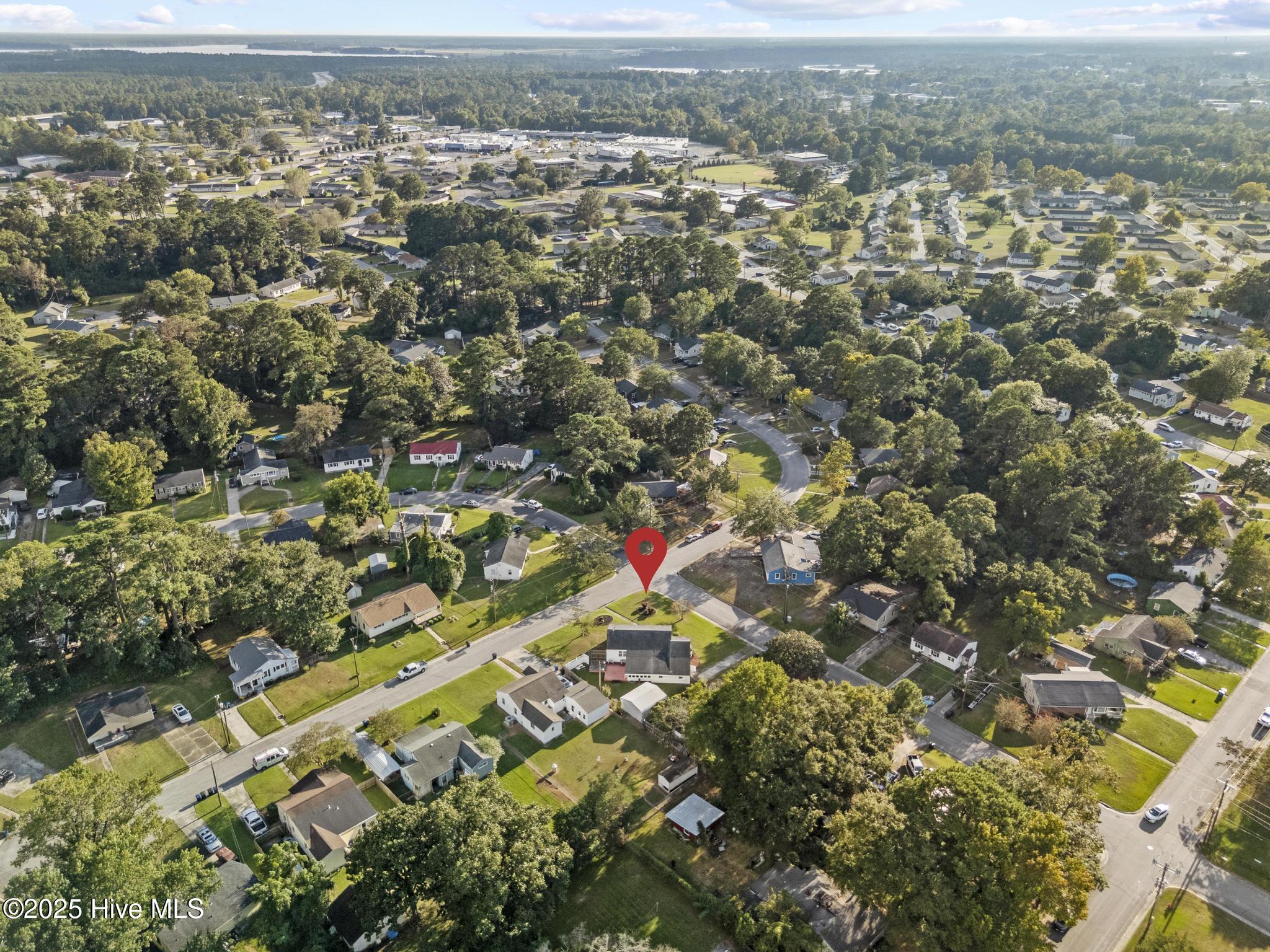 100532196 | Photo 43