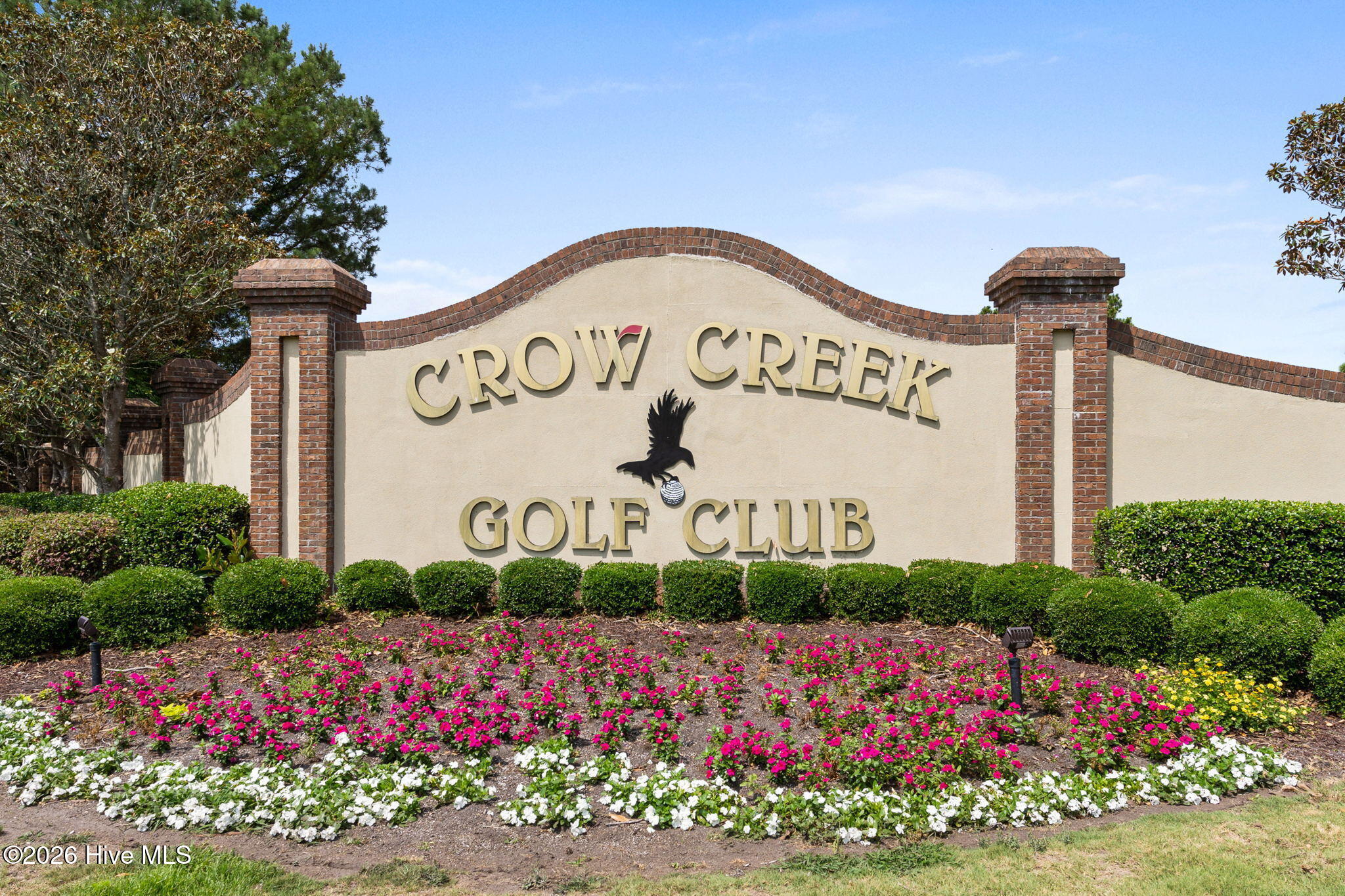 100564784 | Photo 50