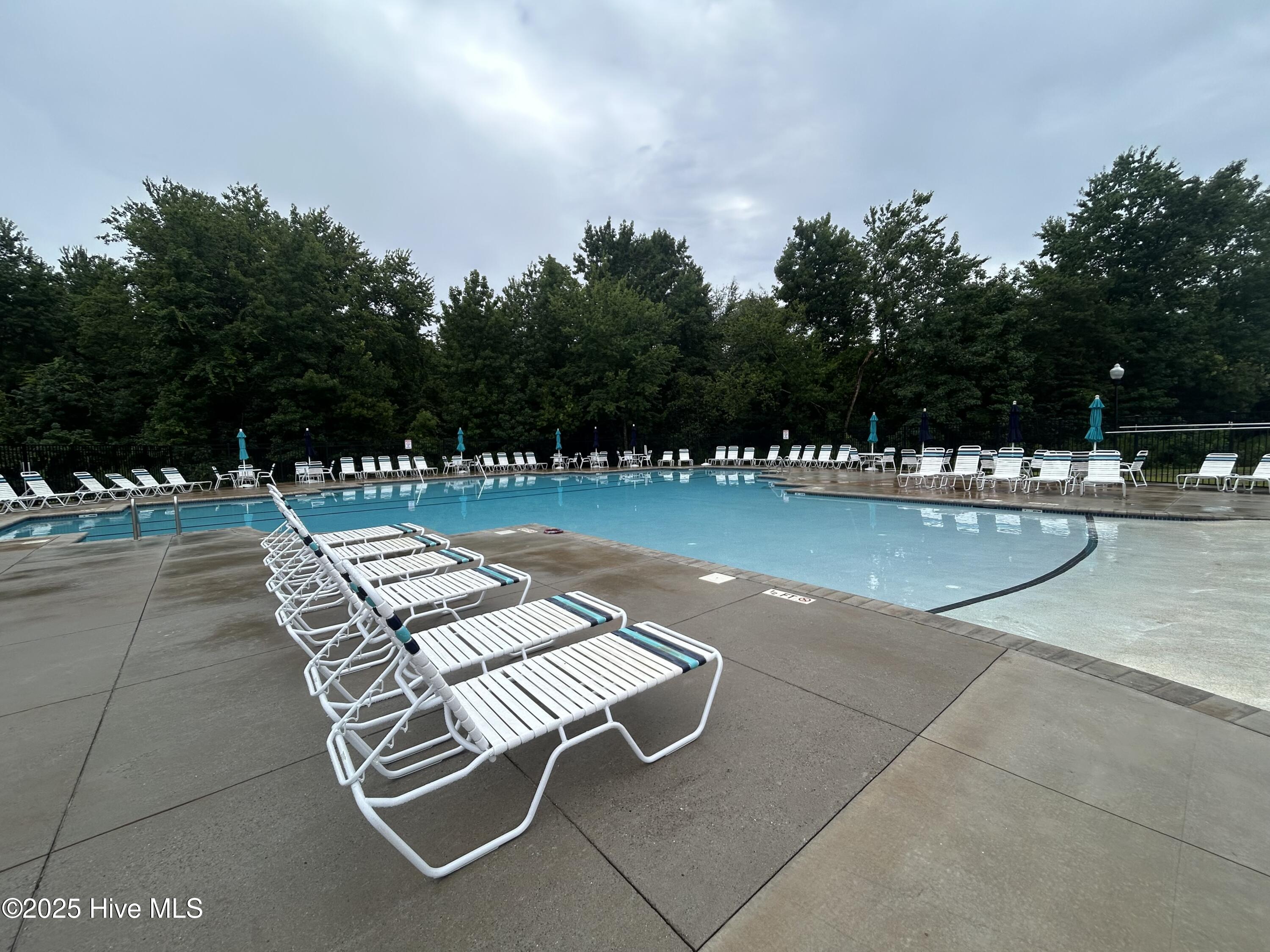 100561165 | Photo 36