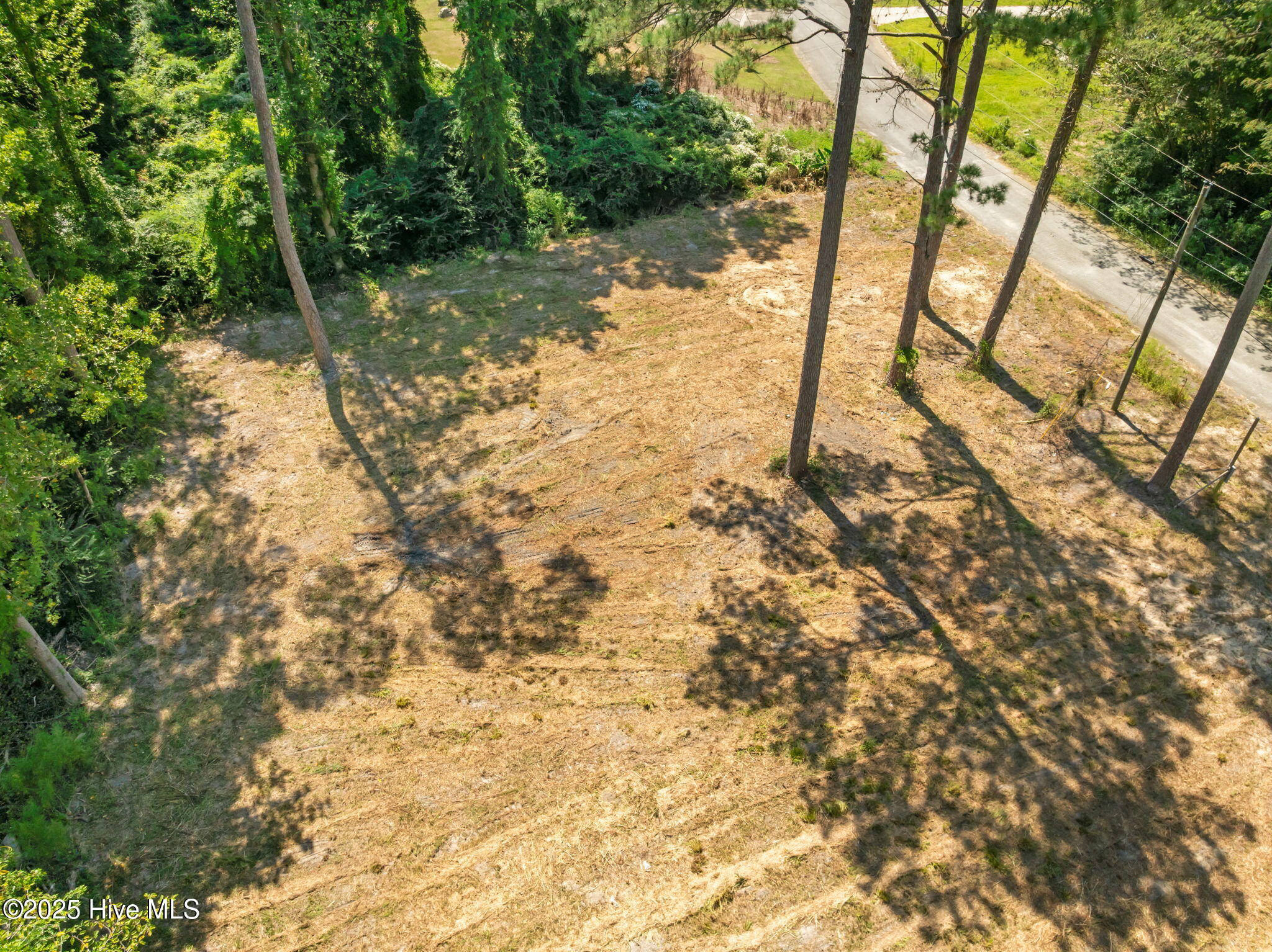 100529346 | Photo 12