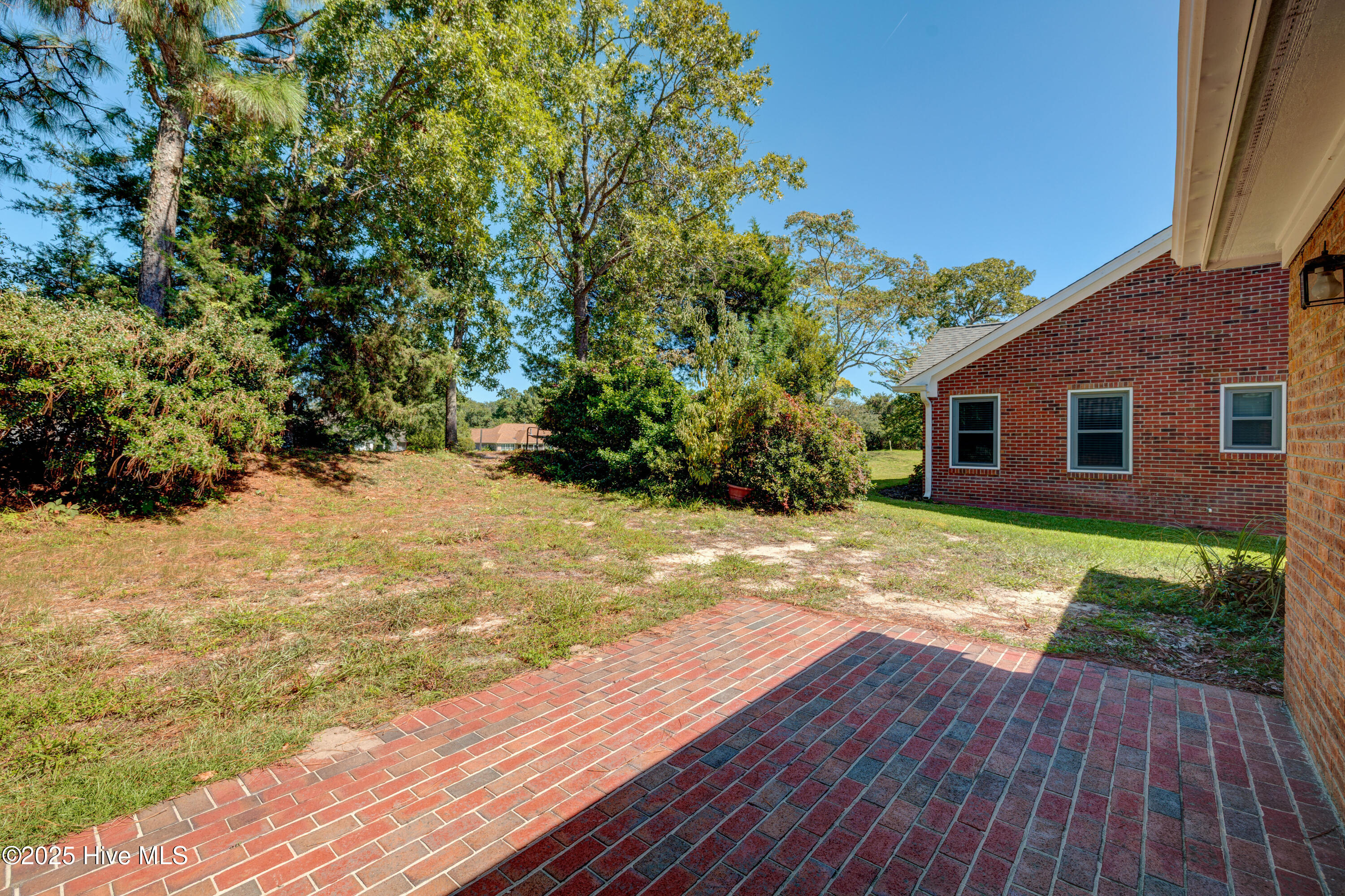 100526962 | Photo 39