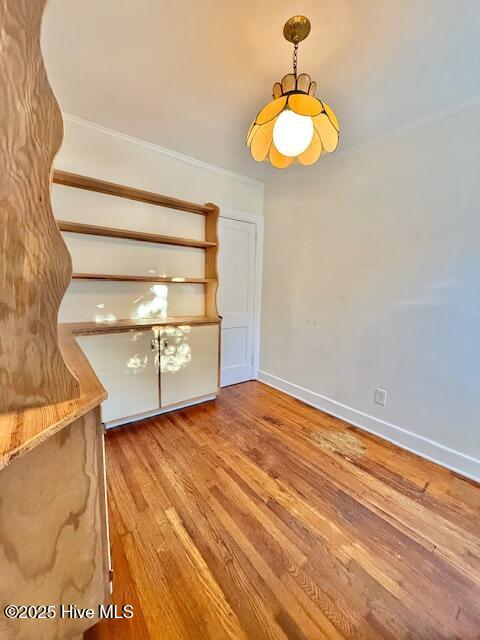 100542473 | Photo 13