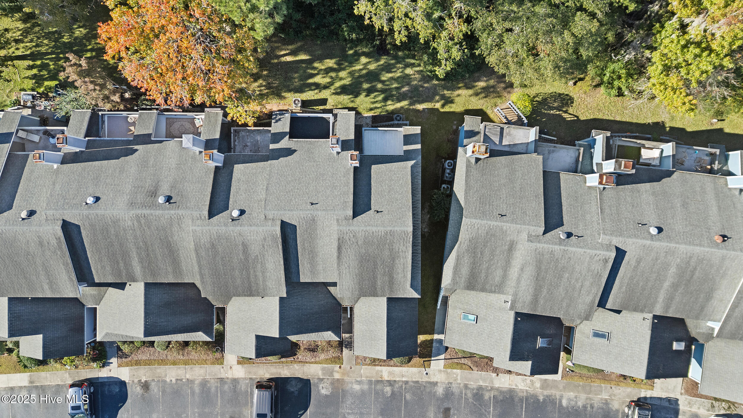 100537542 | Photo 31