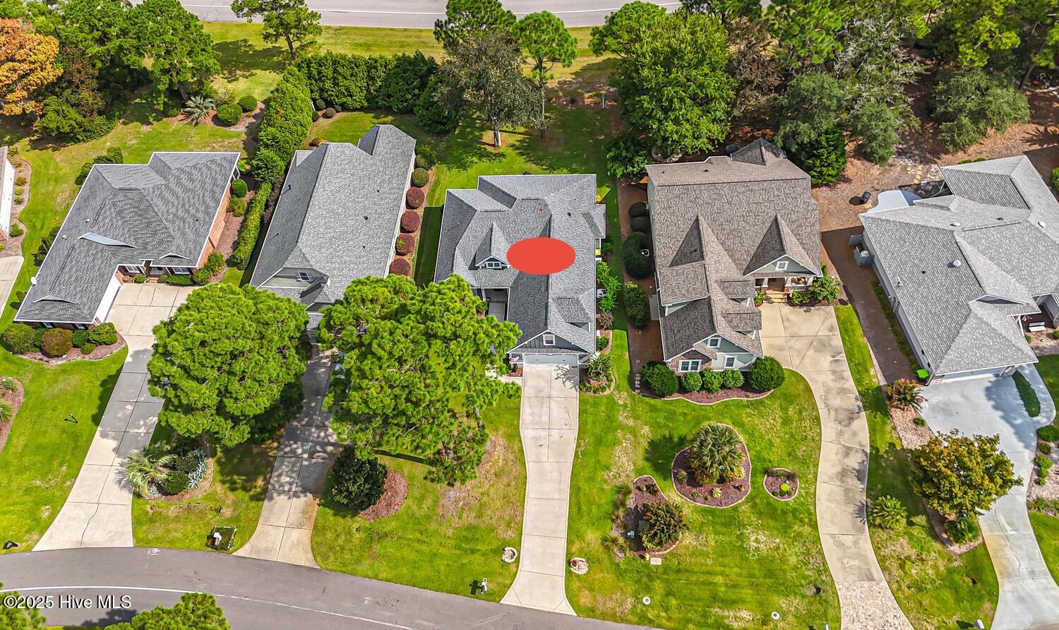 100558918 | Photo 66