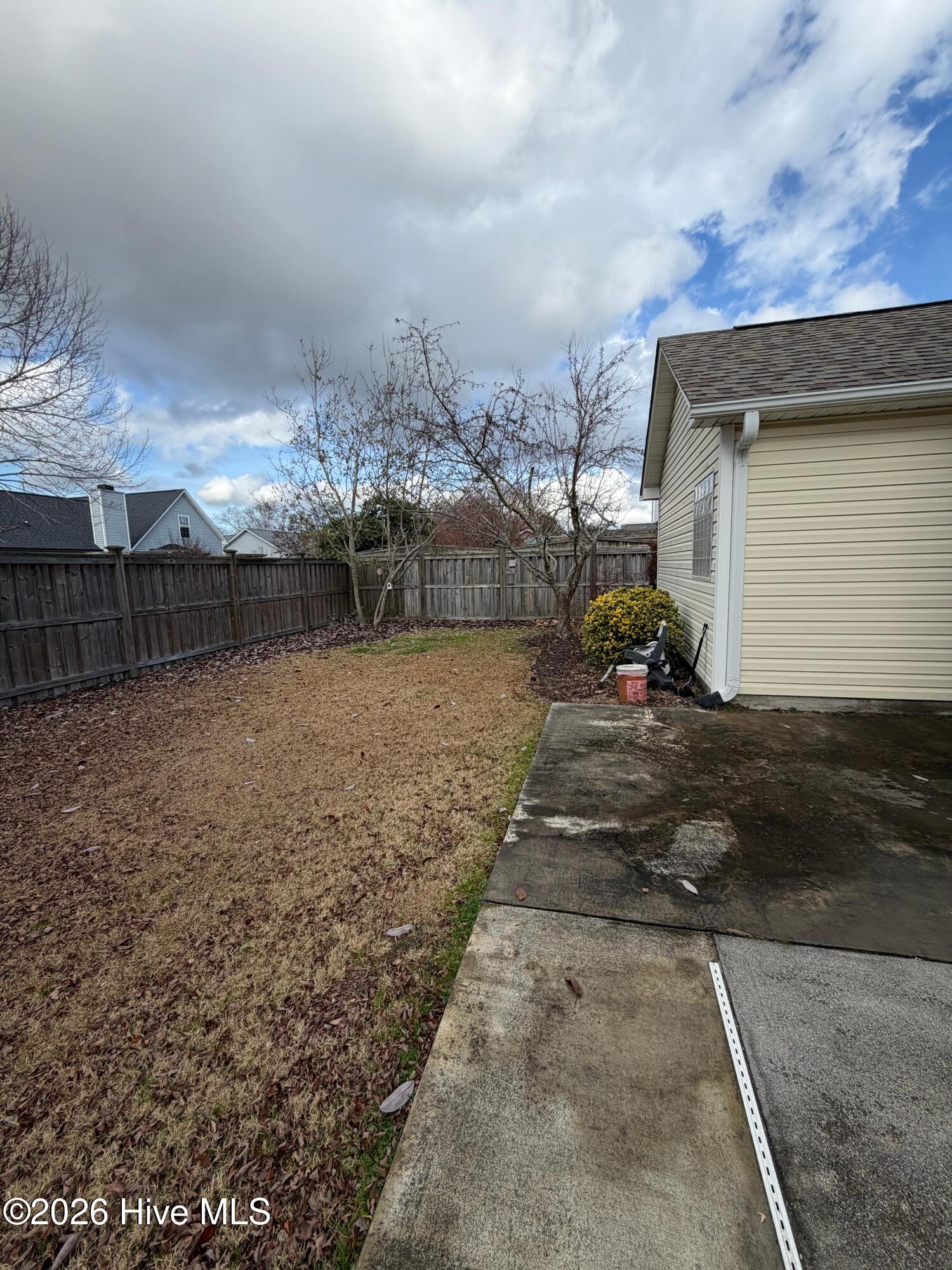 100548019 | Photo 16