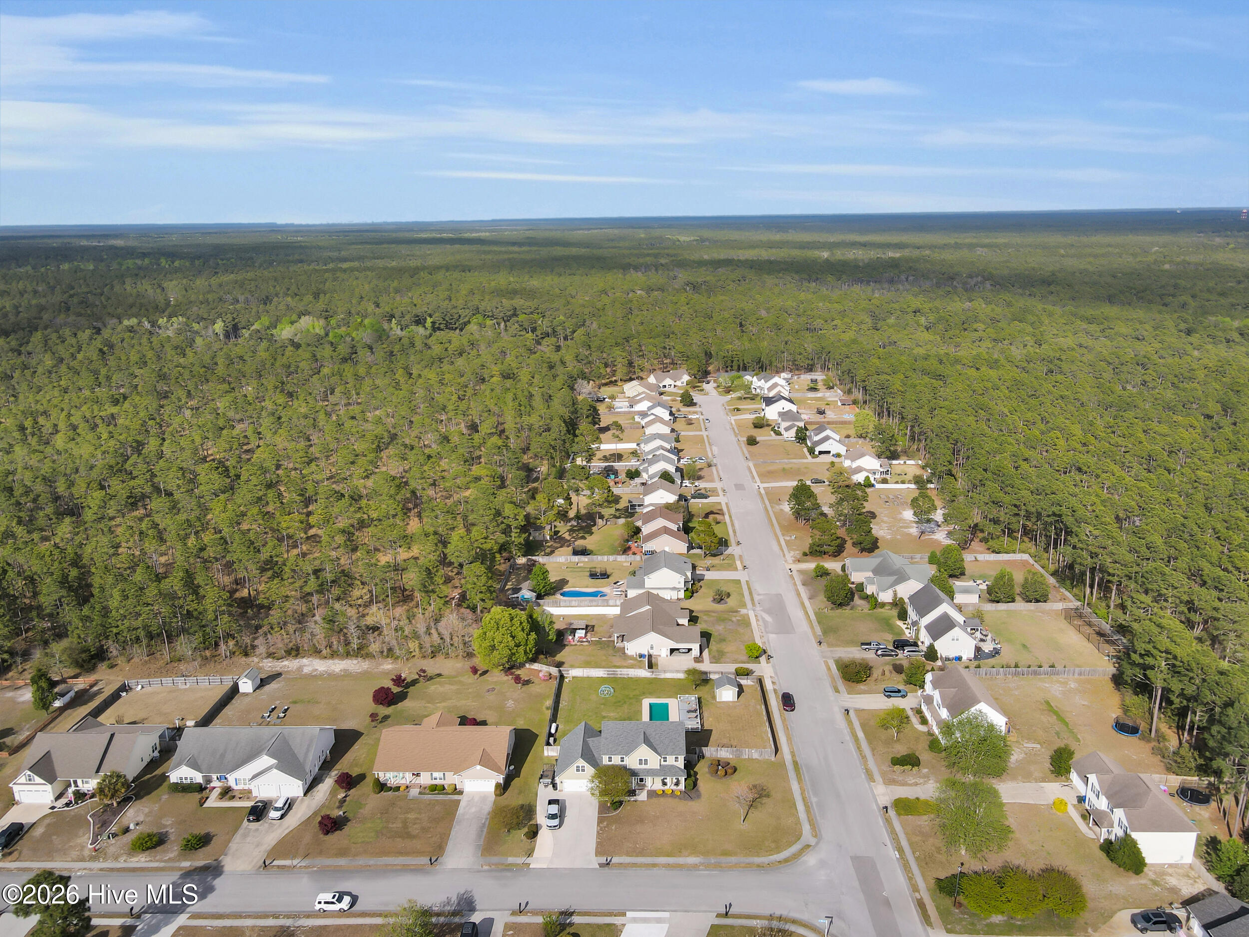 100566546 | Photo 43