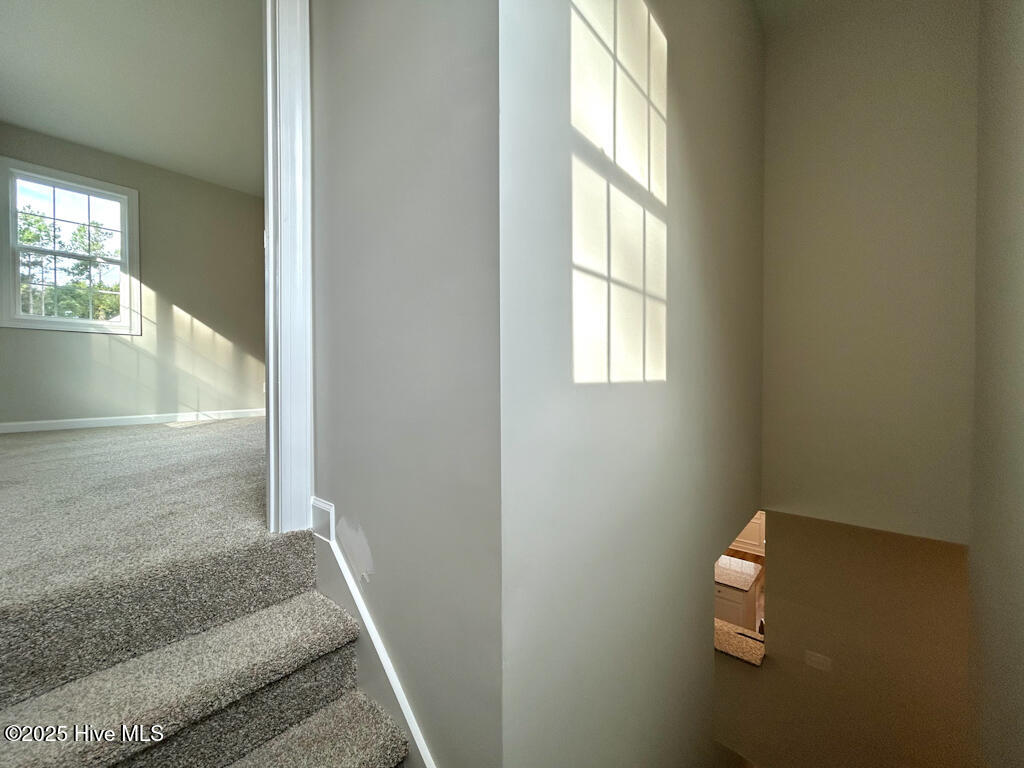 100560362 | Photo 39