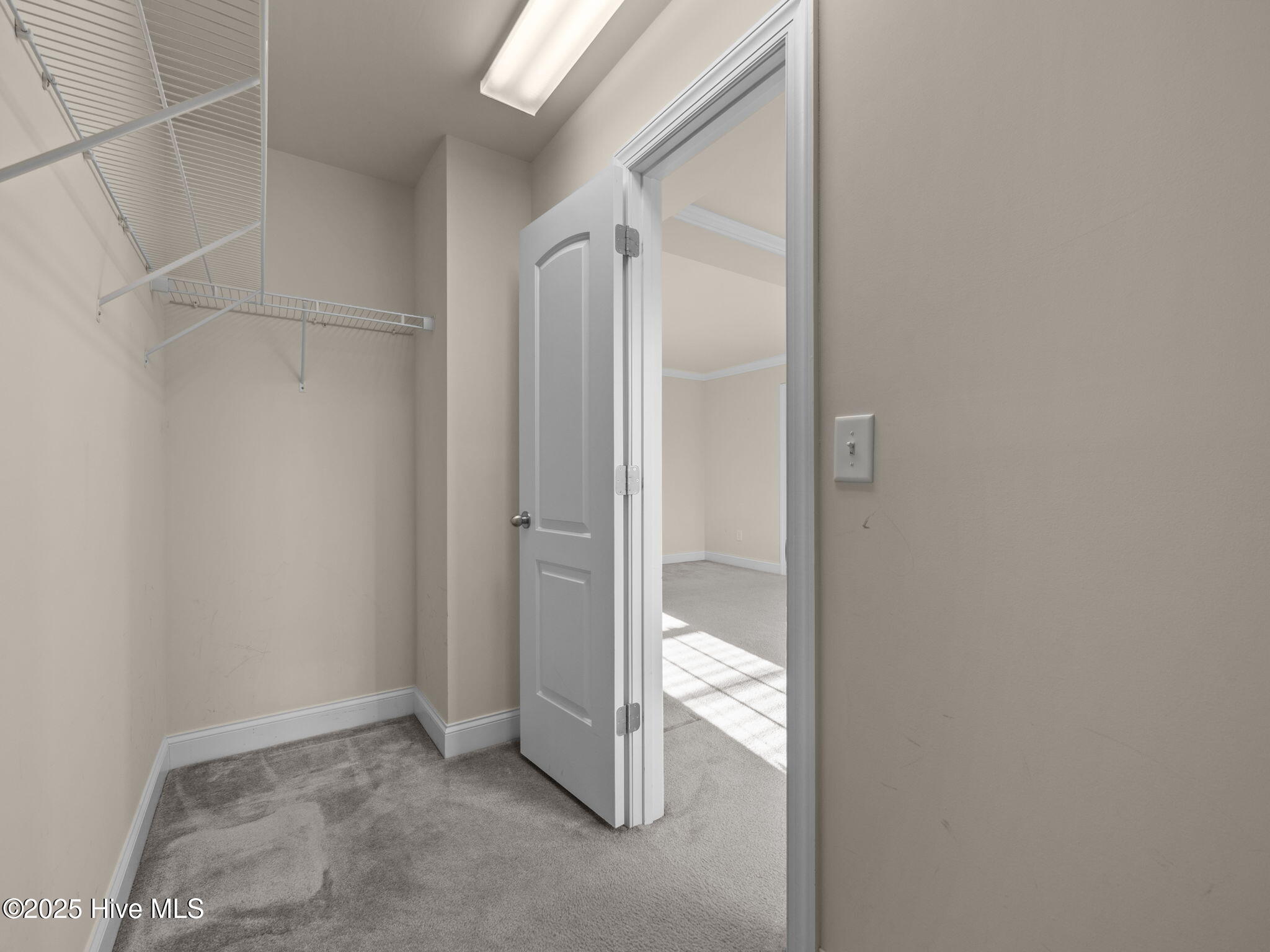 100545403 | Photo 38