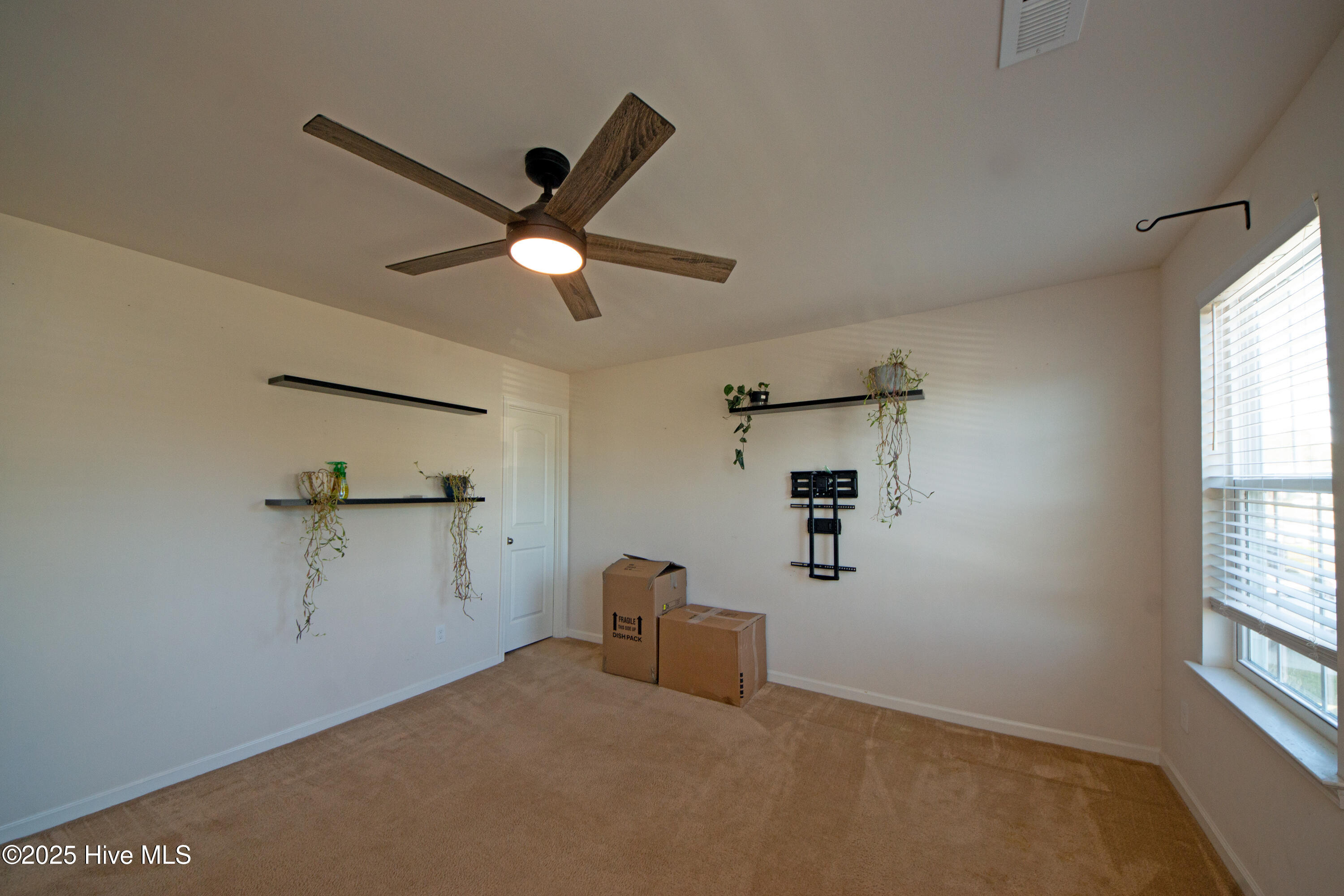 100542211 | Photo 43