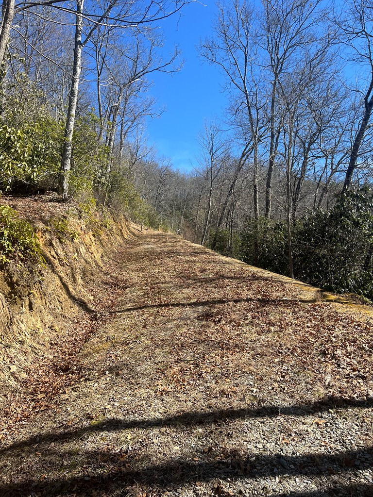Homes for sale in Nantahala, NC | Lot 19 Preserve Valley Rd, Nantahala, NC 28781 | MLS# 98525030