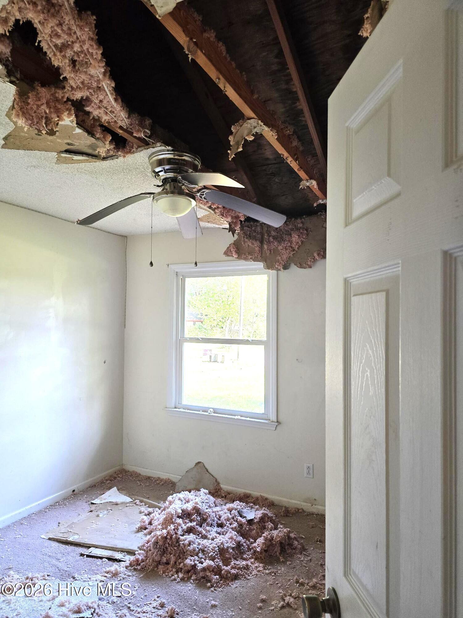 100567679 | Photo 22