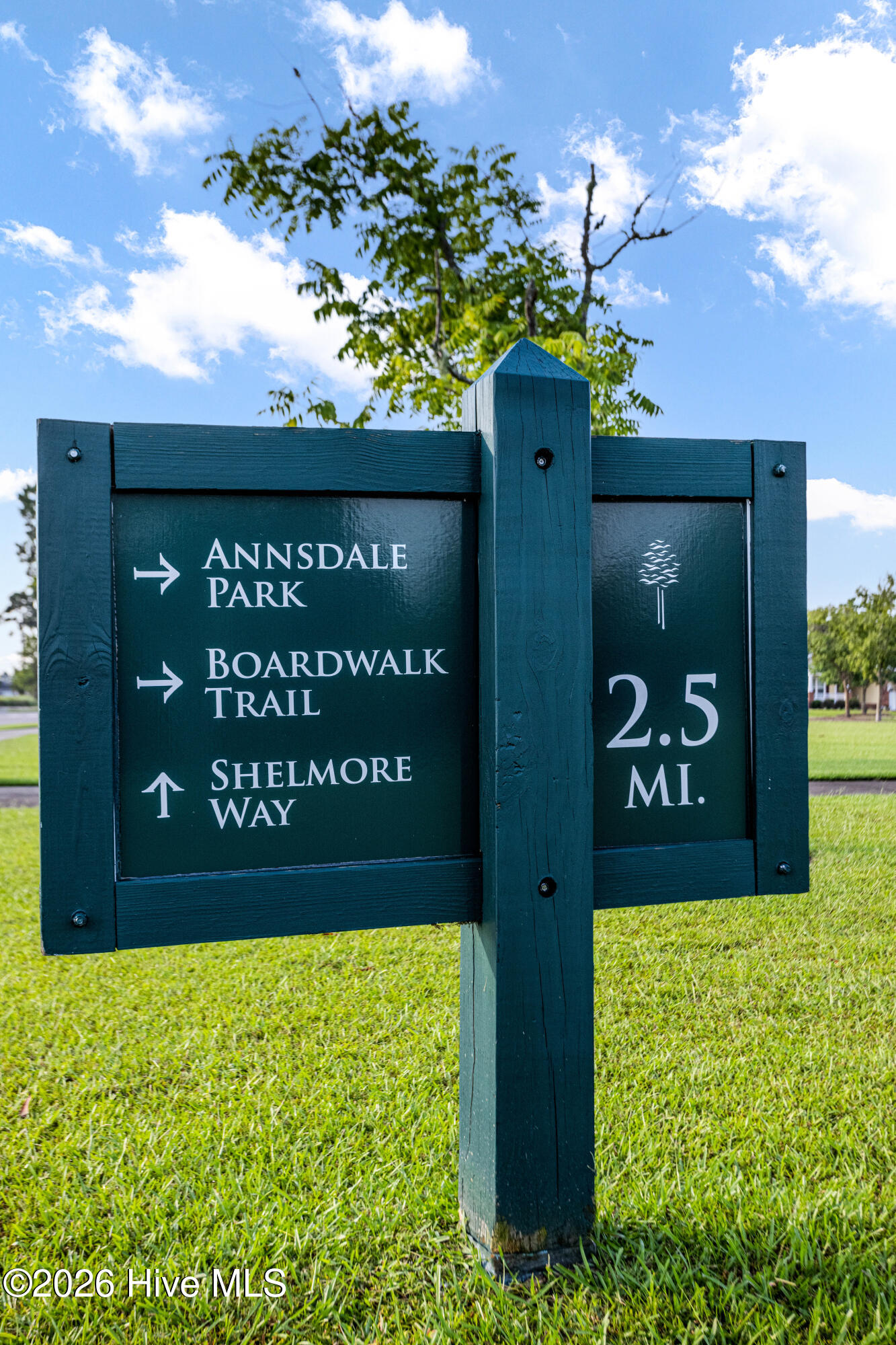 100554021 | Photo 49