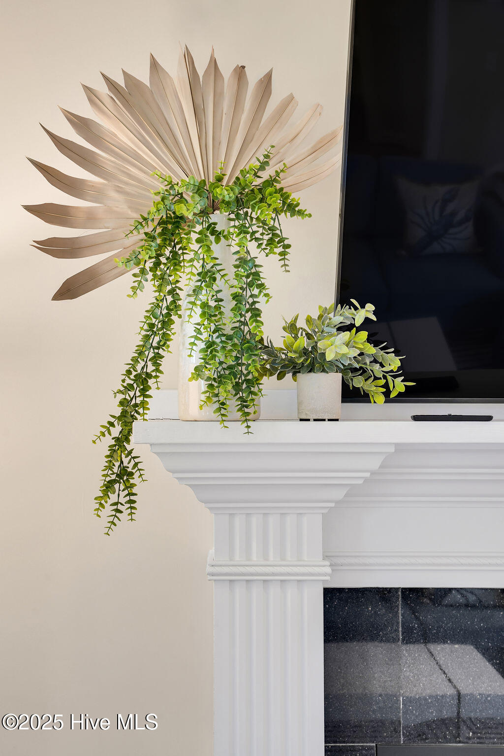 100539026 | Photo 26