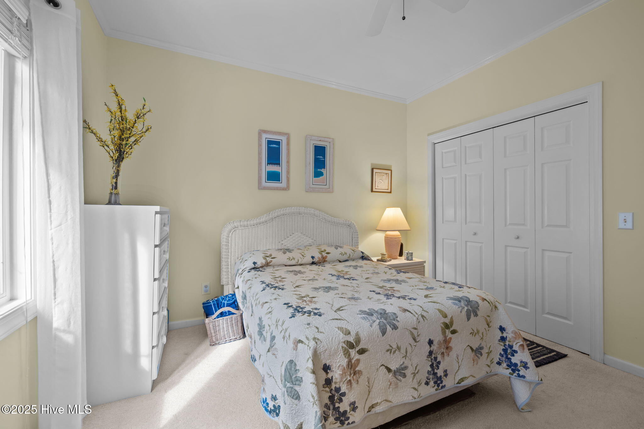 100558130 | Photo 22