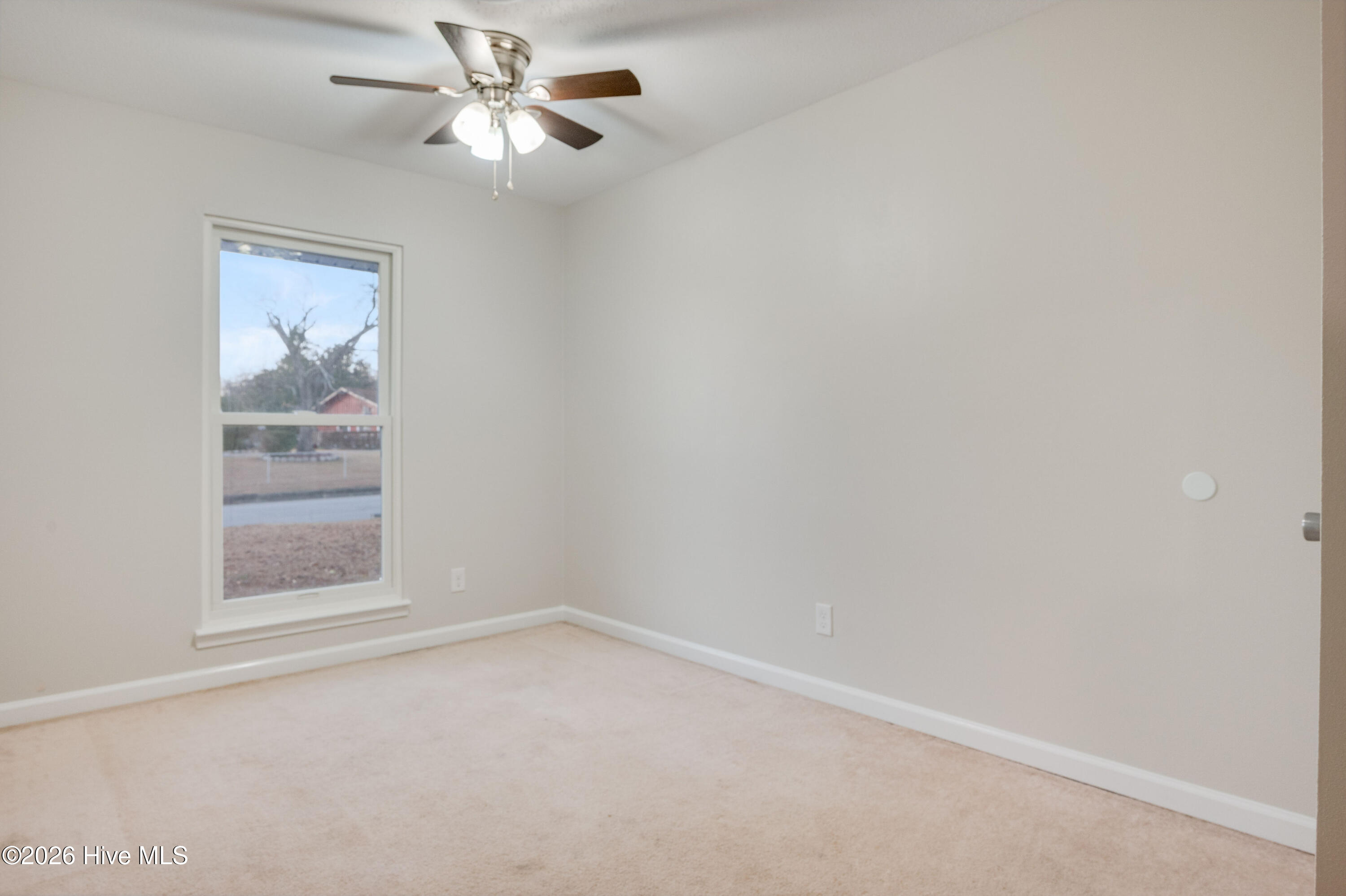 100547210 | Photo 22