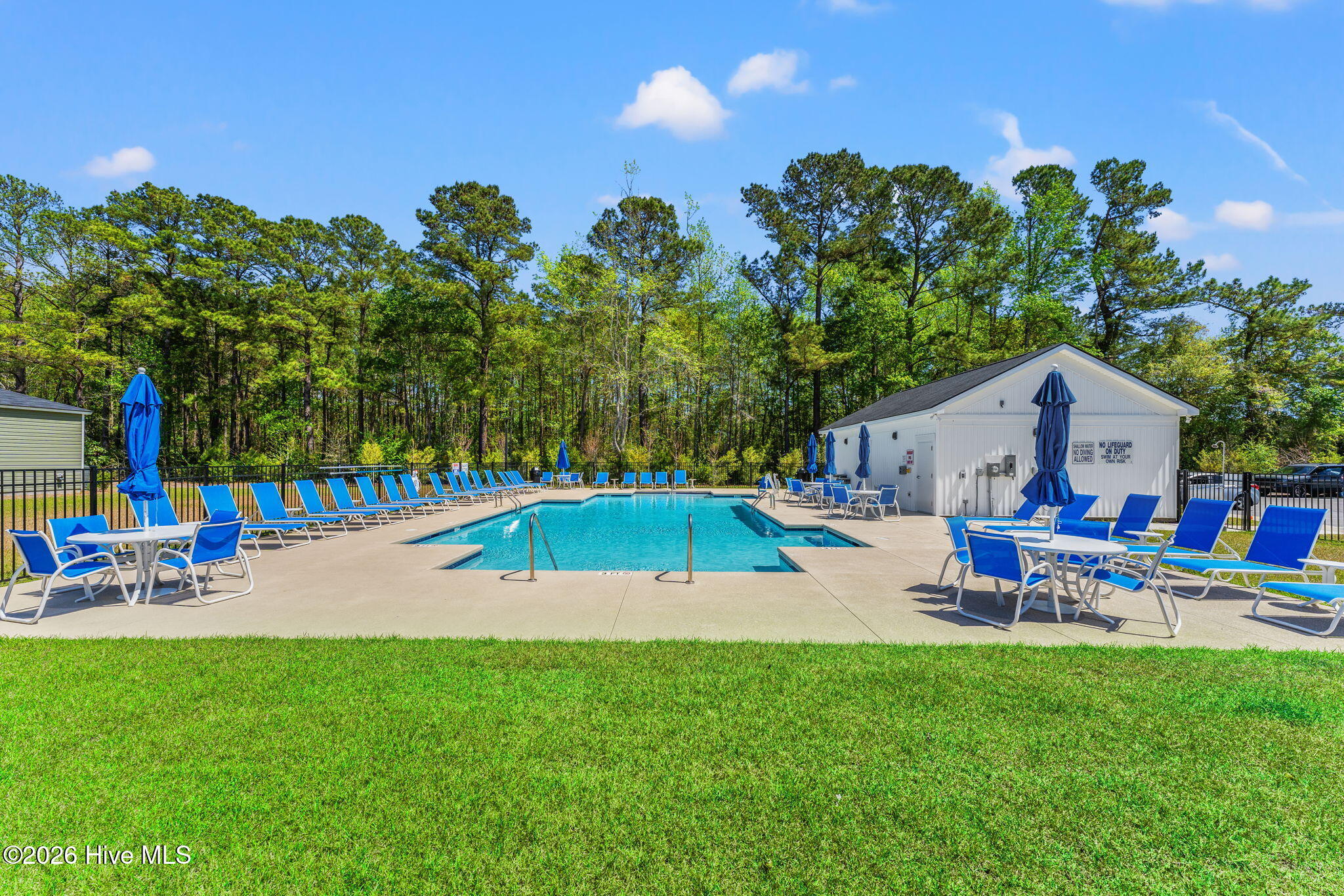 100566153 | Photo 43