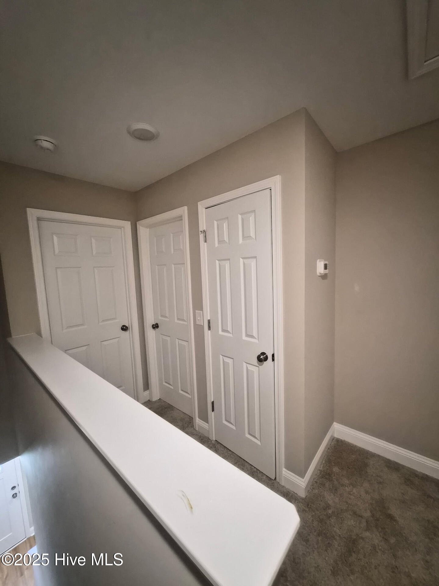 100536783 | Photo 13