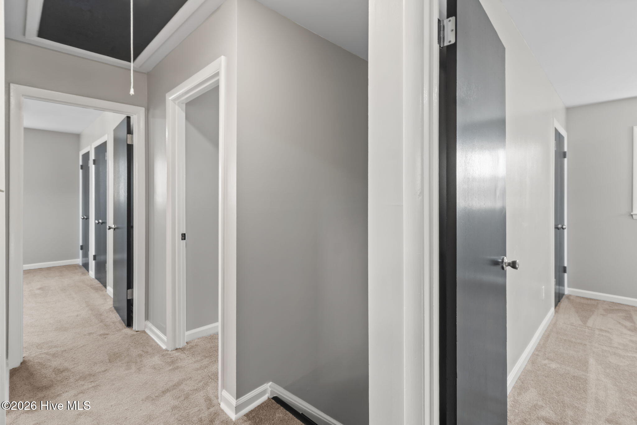 100560712 | Photo 31