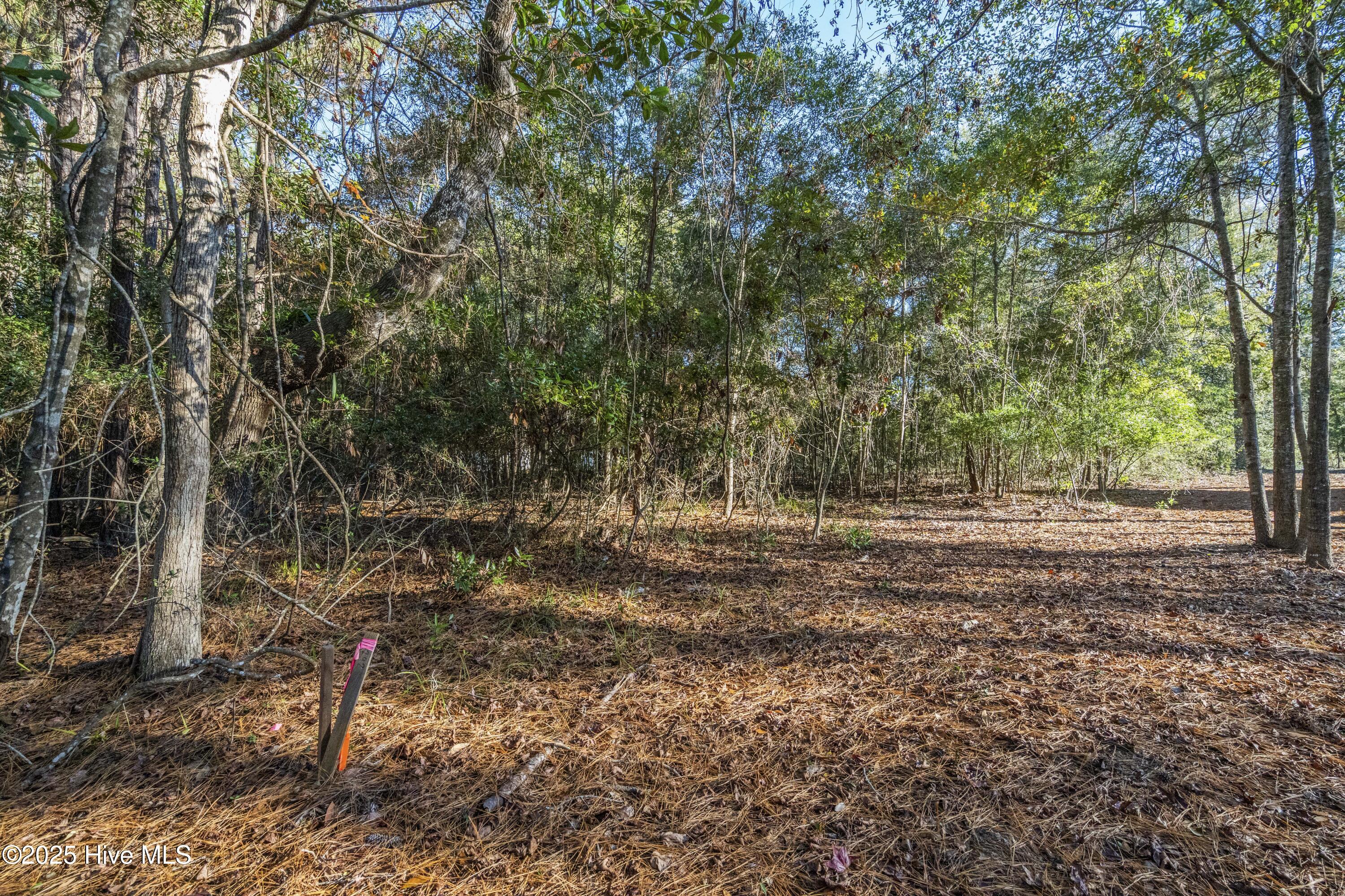 100545322 | Photo 15