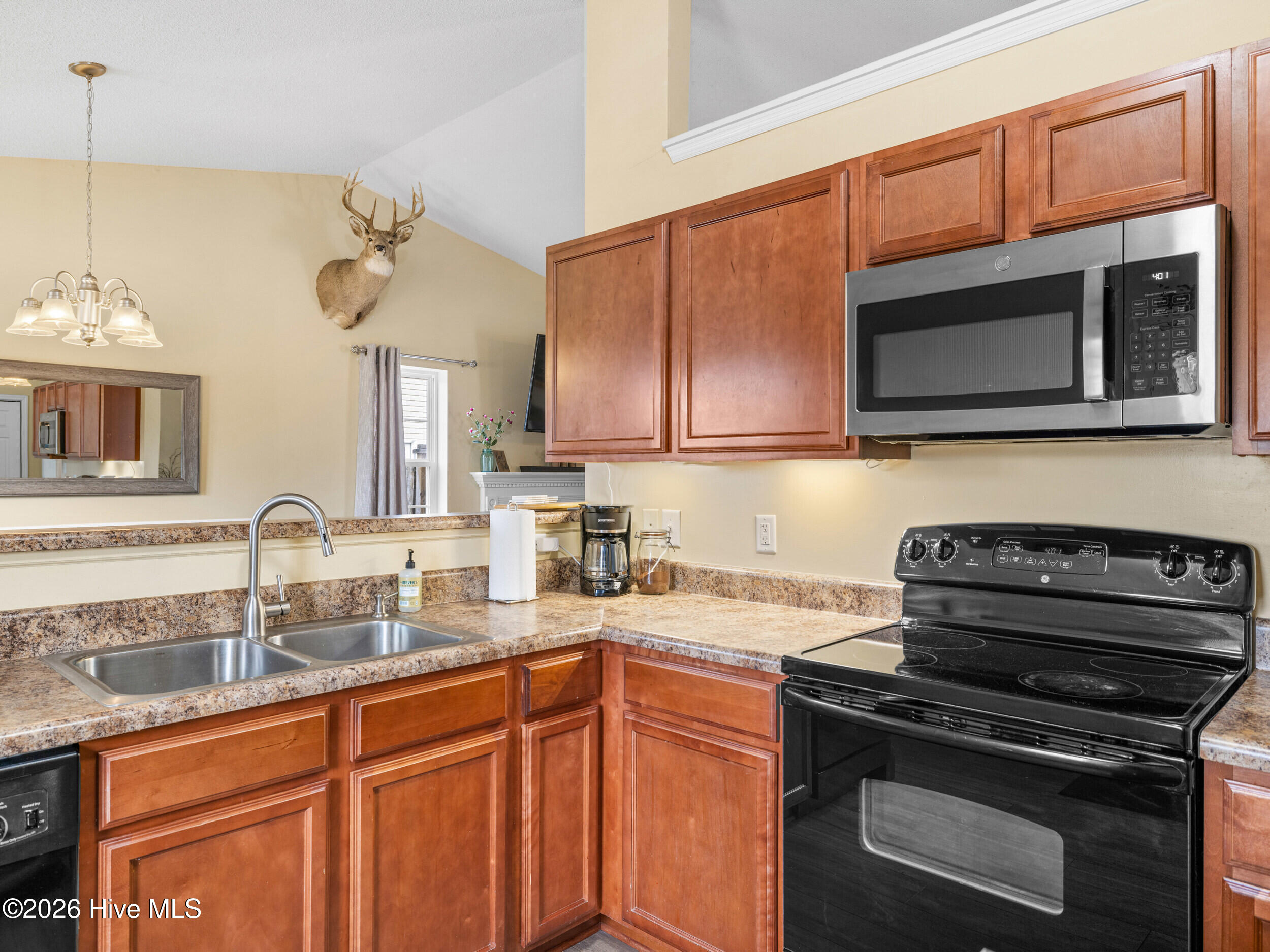 100556892 | Photo 28