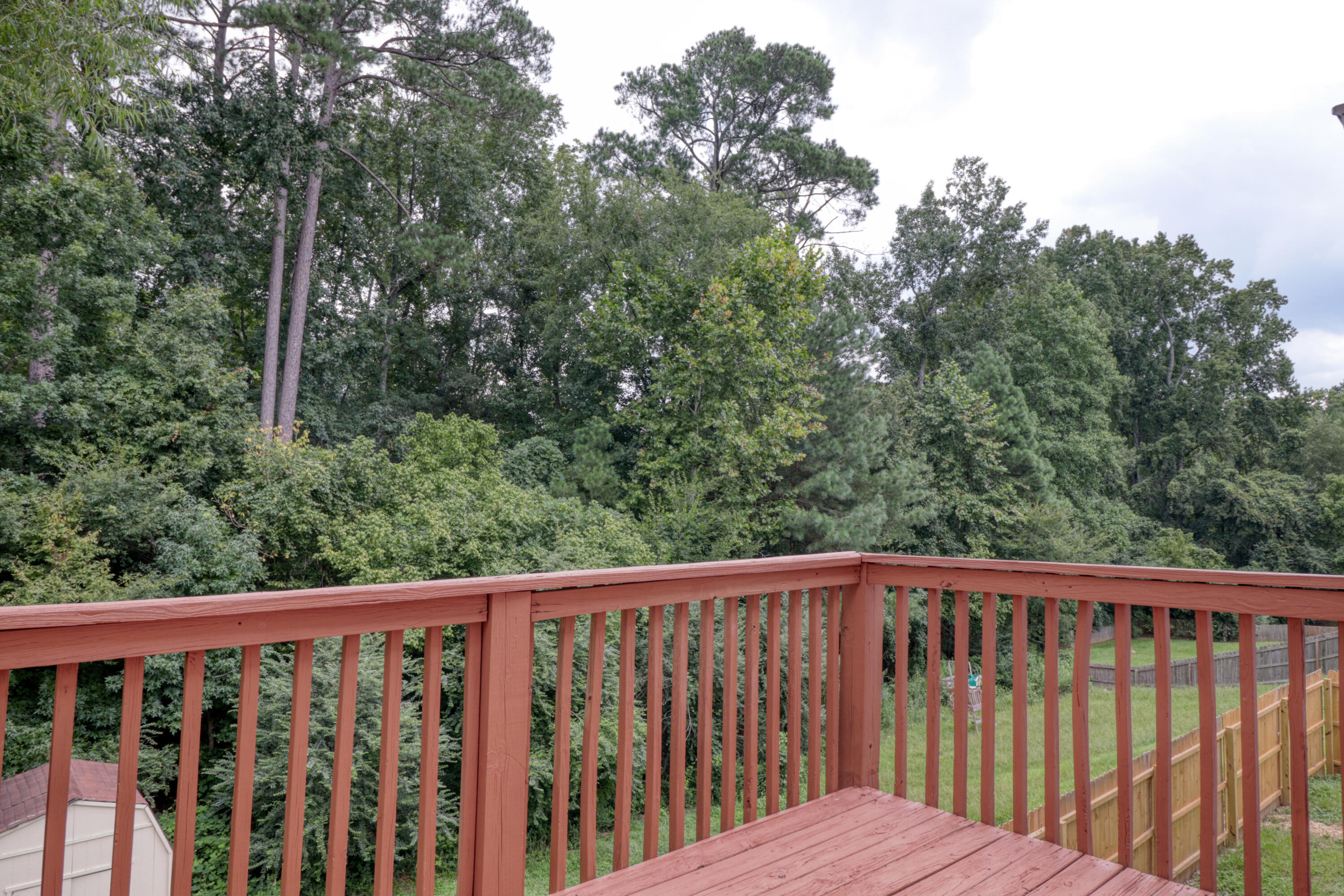 IMG_0372_hdr copy