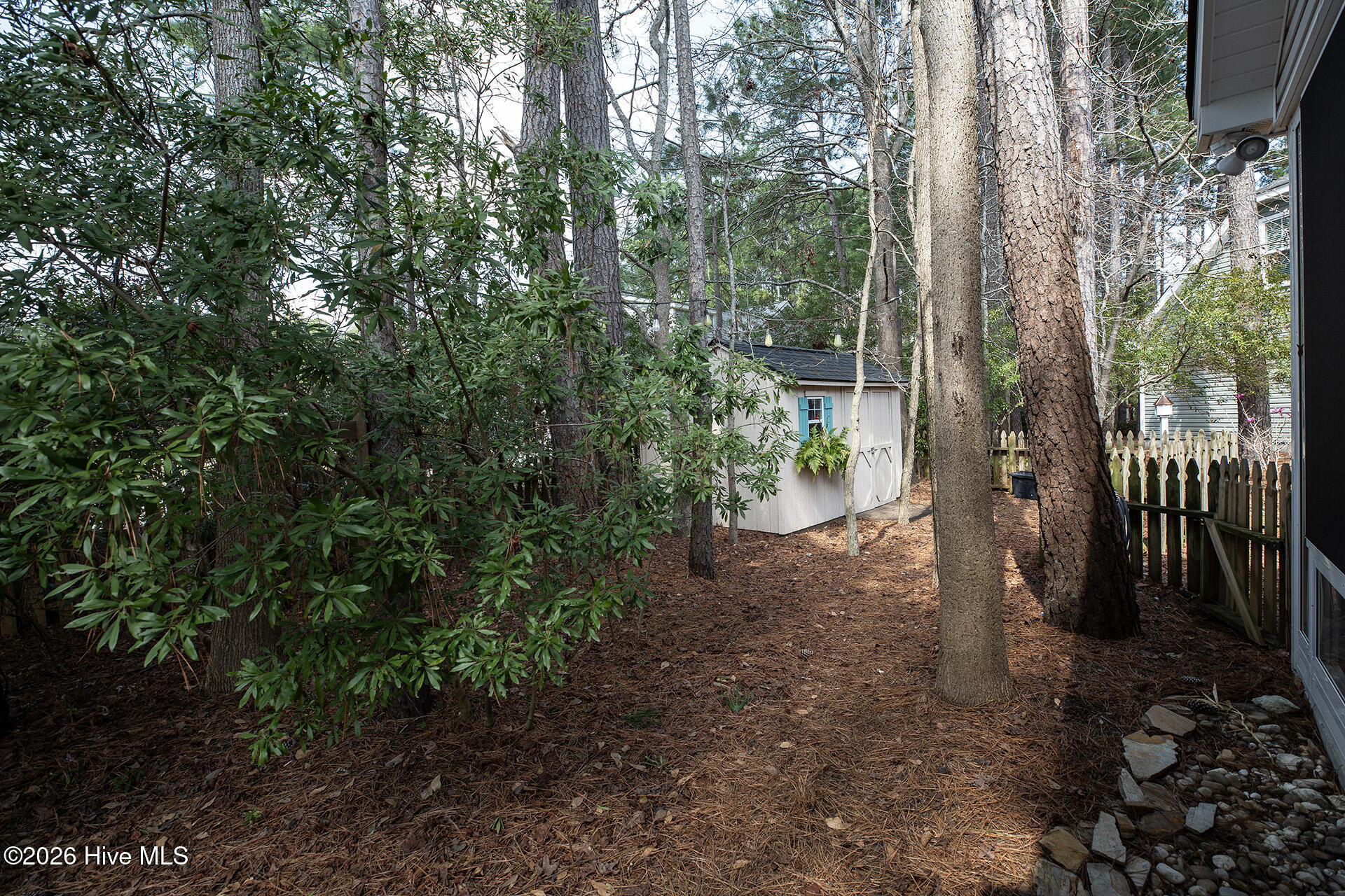 100558971 | Photo 41