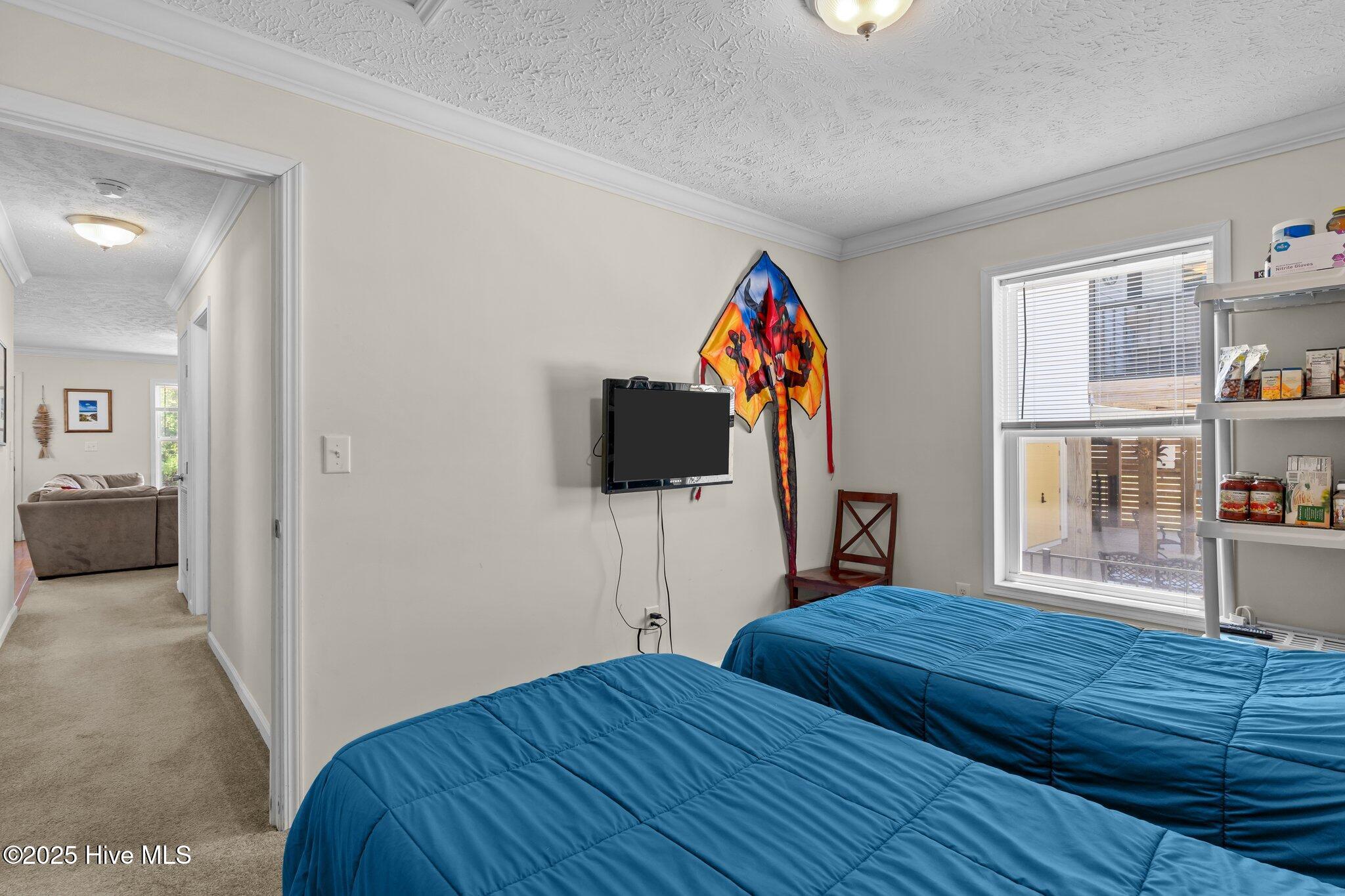 100509442 | Photo 19